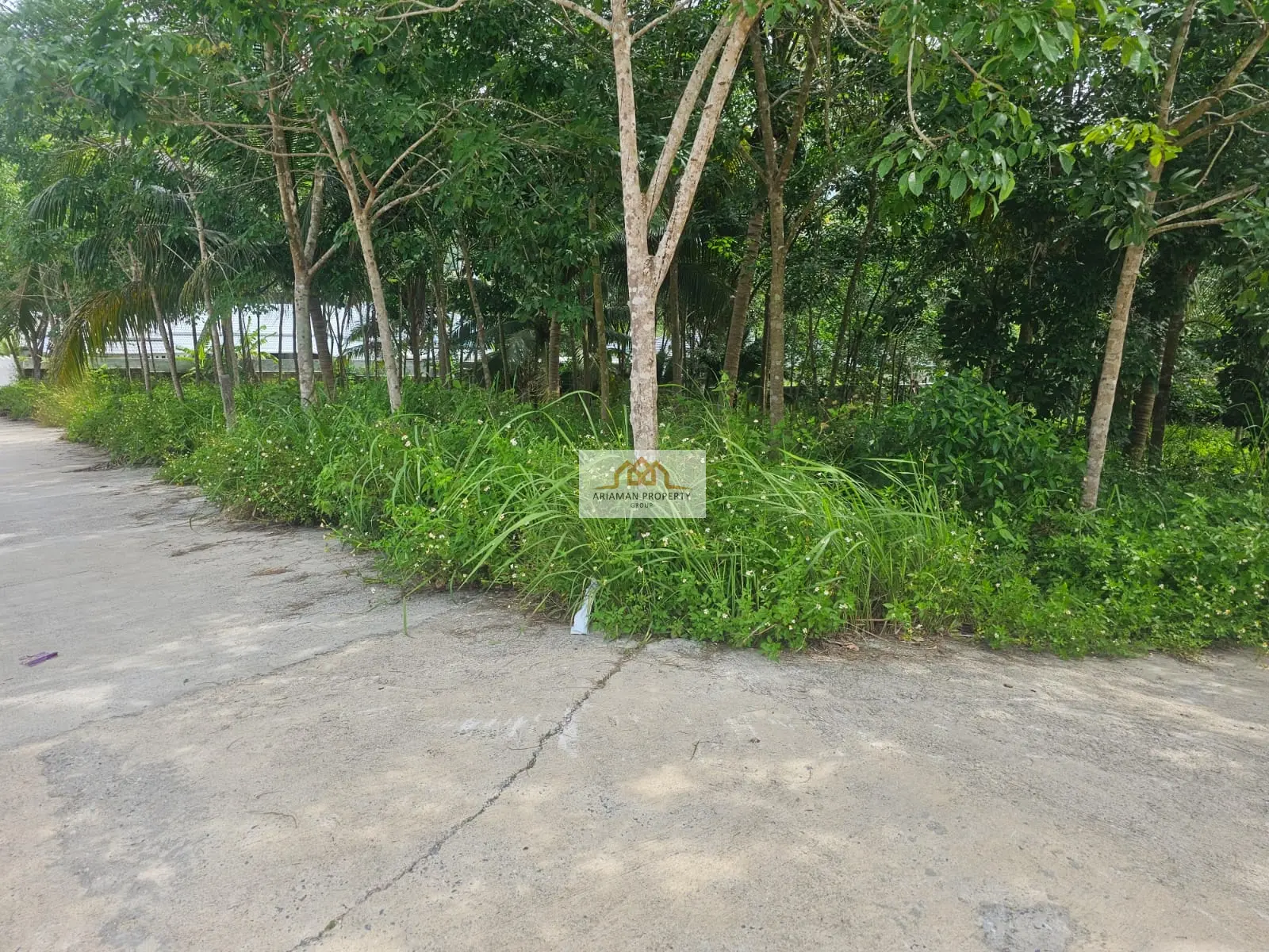 Quiet 800 sqm Freehold Land on a Private Road in Maenam Soi 1, Ko Samui