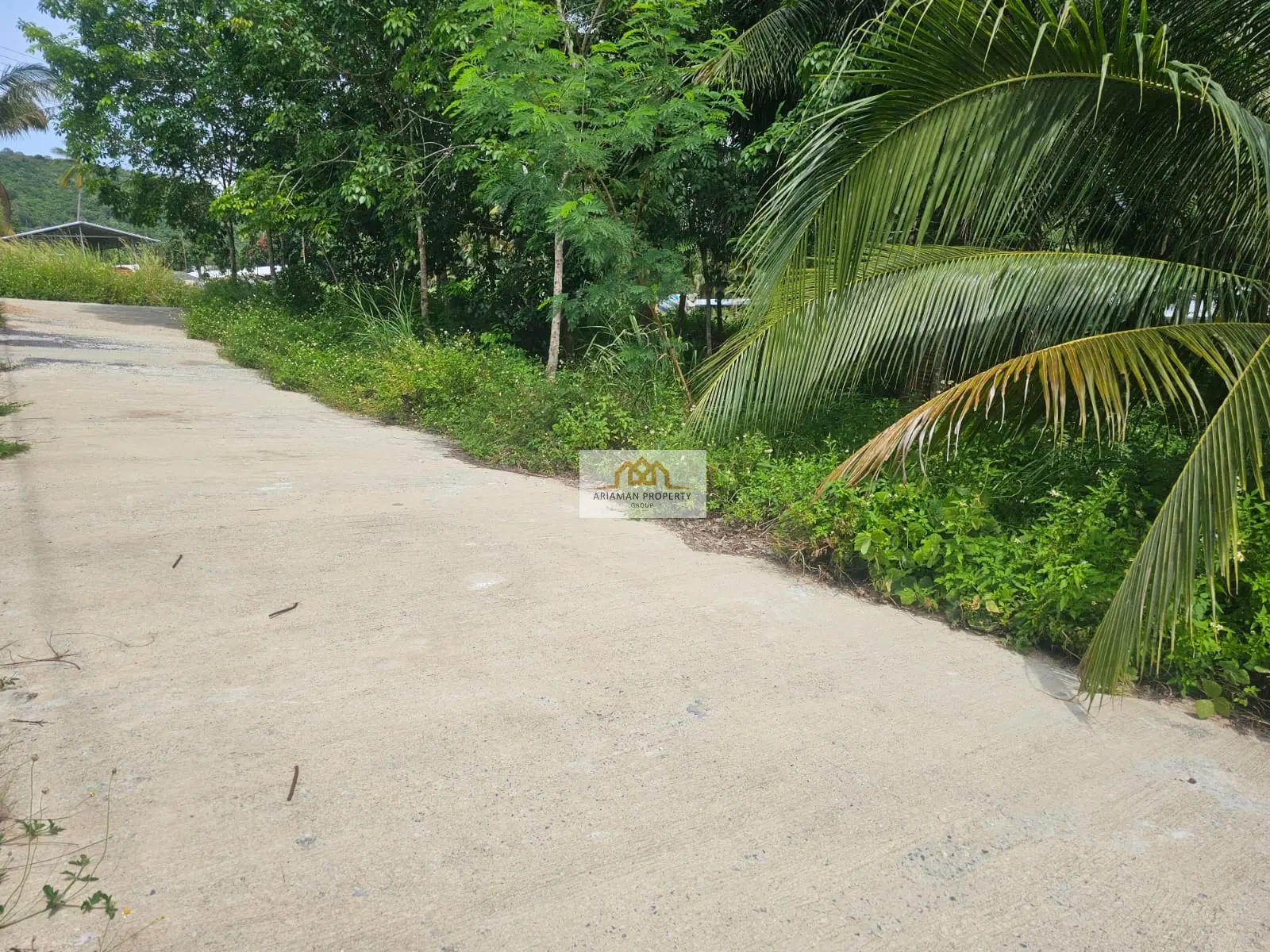 Quiet 800 sqm Freehold Land on a Private Road in Maenam Soi 1, Ko Samui
