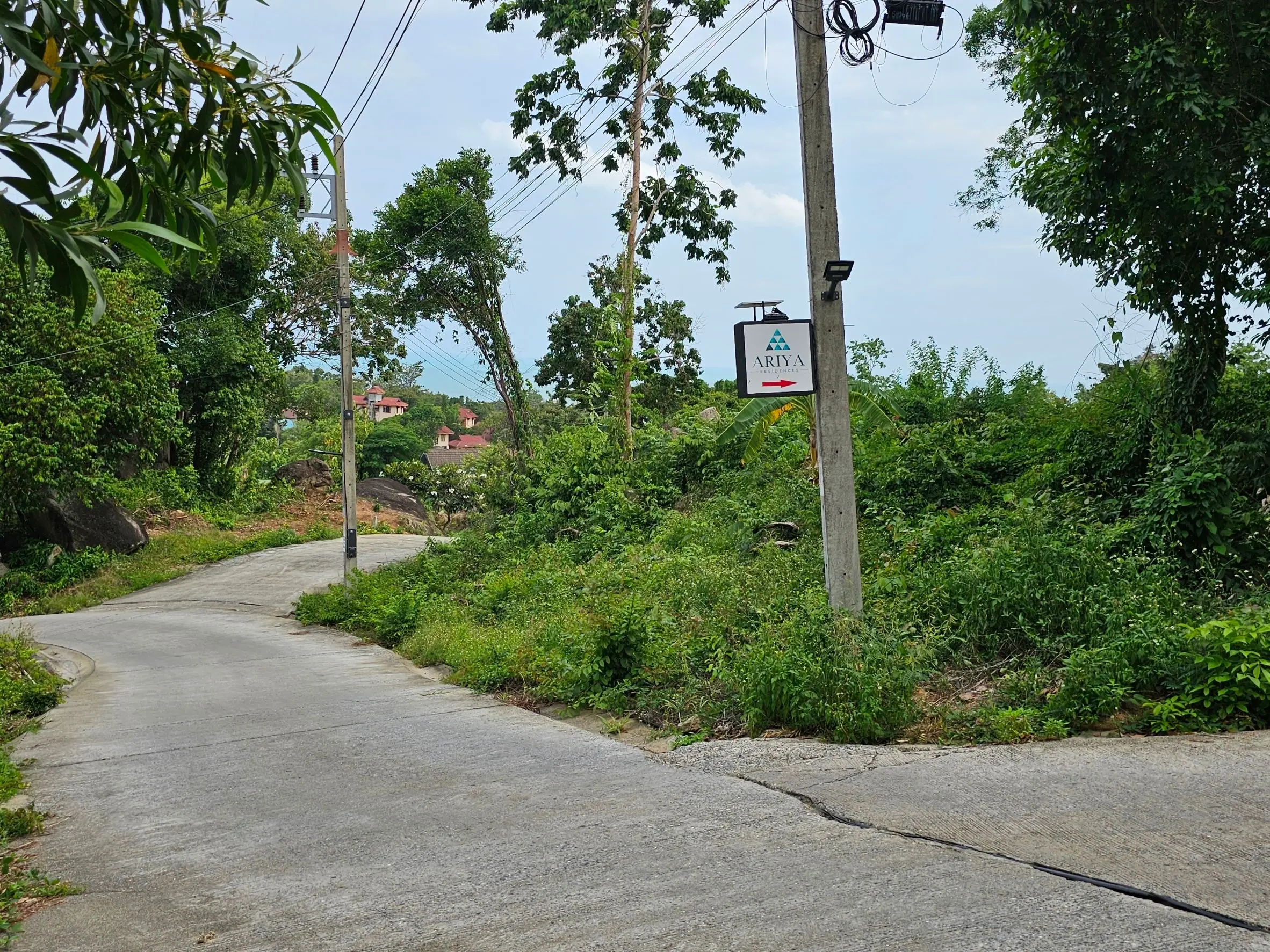 1036 SQM Of Prime Land In Lamai 