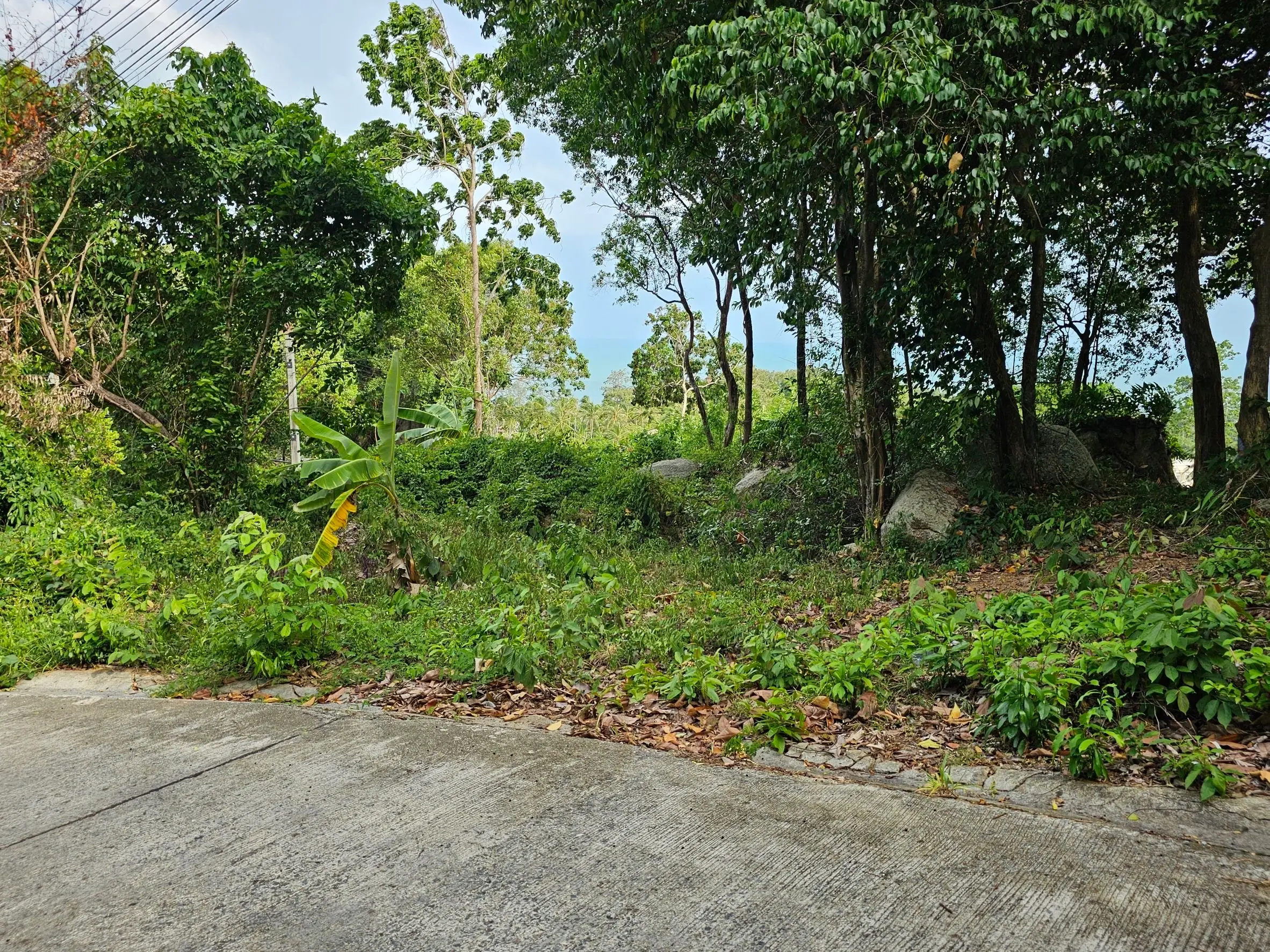 1036 SQM Of Prime Land In Lamai 