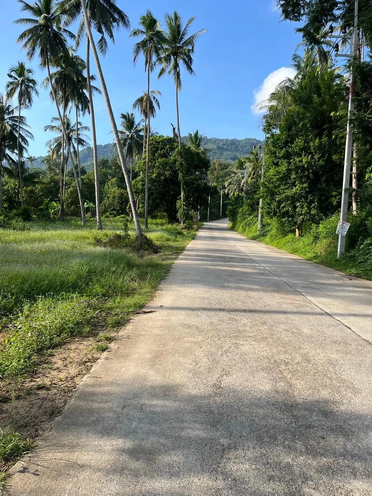 5600 SQM Of Tropical Development Land In lamai