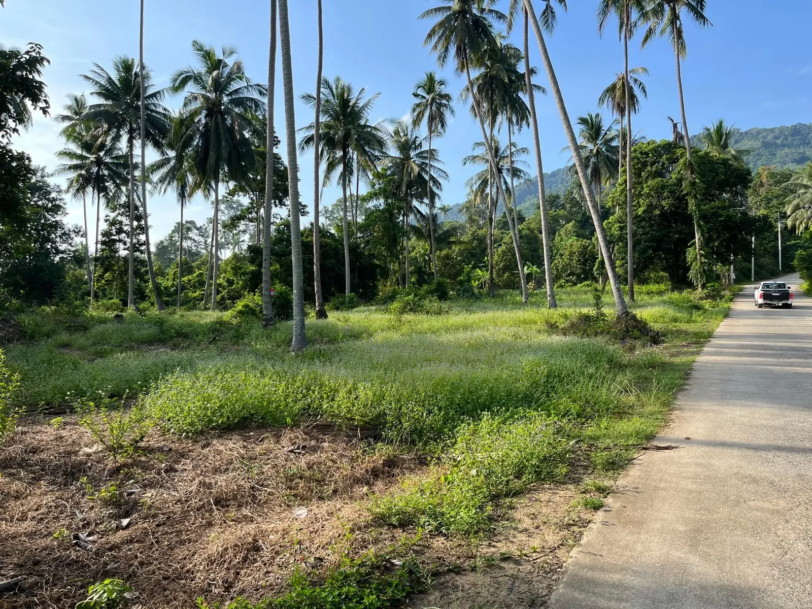 5600 SQM Of Tropical Development Land In lamai