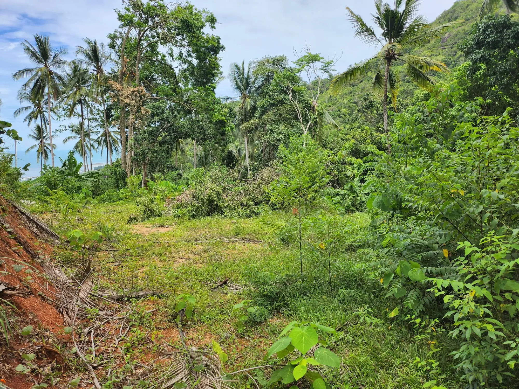 800 SQM Of Prime Seaview Land With Building Permit, Lamai