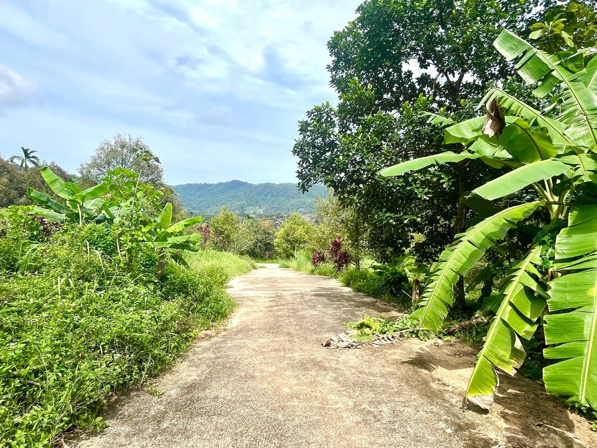 11 ไร่ ของที่ดินพัฒนาที่มีวิวภูเขาที่สวยงามในละไม