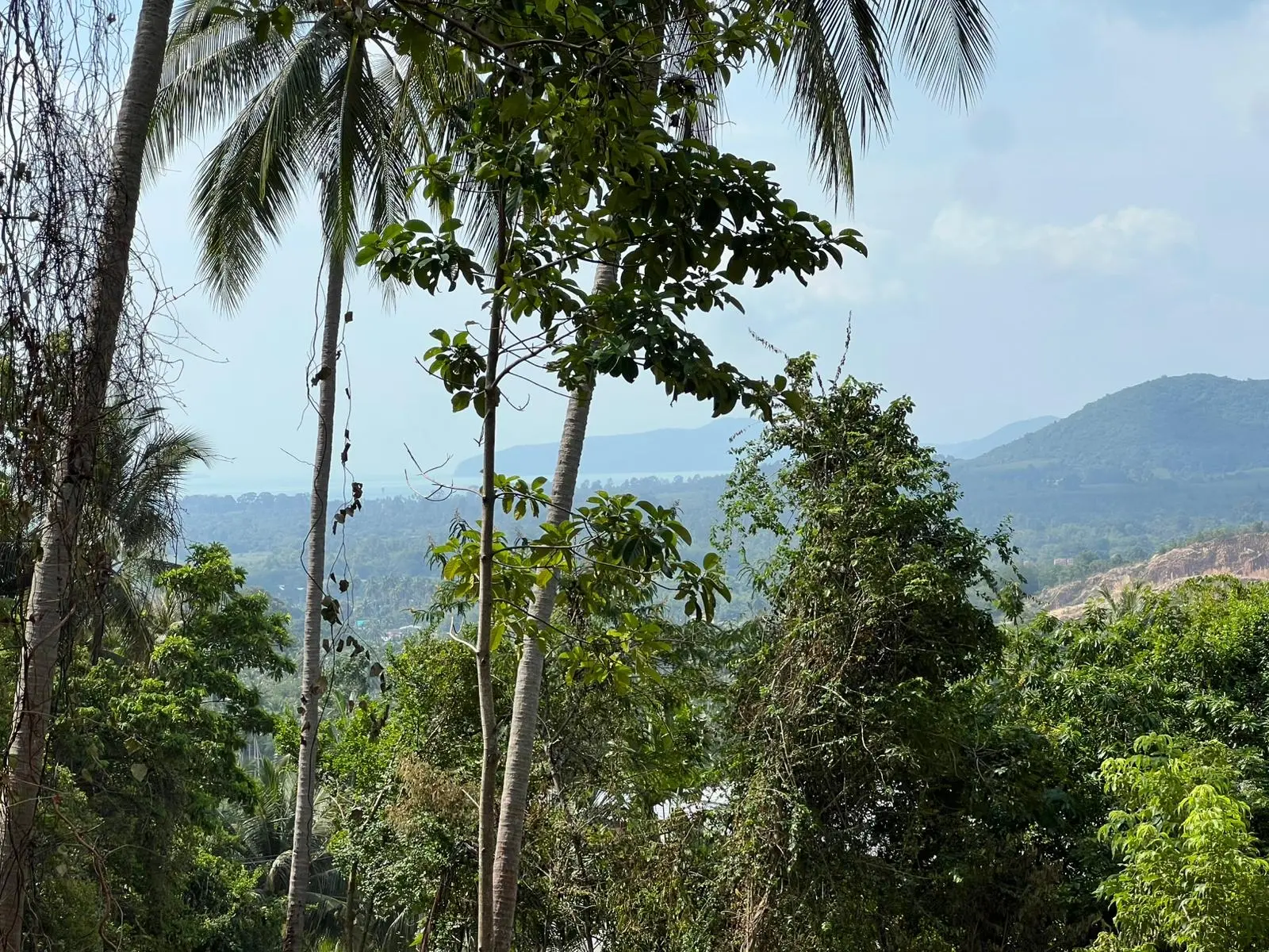 3 ไร่ ของที่ดินวิวทะเลที่สวยงามในนาเมือง