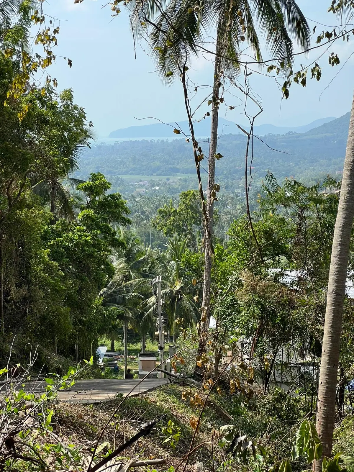 3 ไร่ ของที่ดินวิวทะเลที่สวยงามในนาเมือง