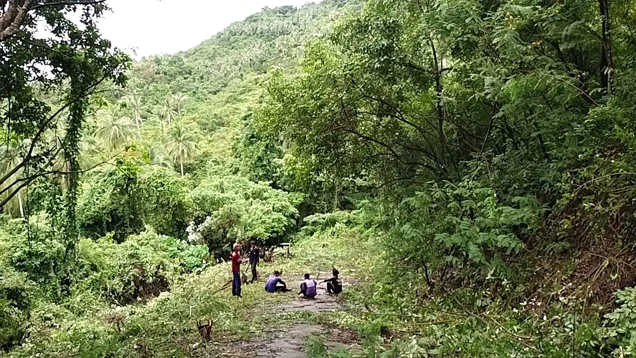 3 ไร่ ของที่ดินวิวทะเลที่สวยงามในนาเมือง