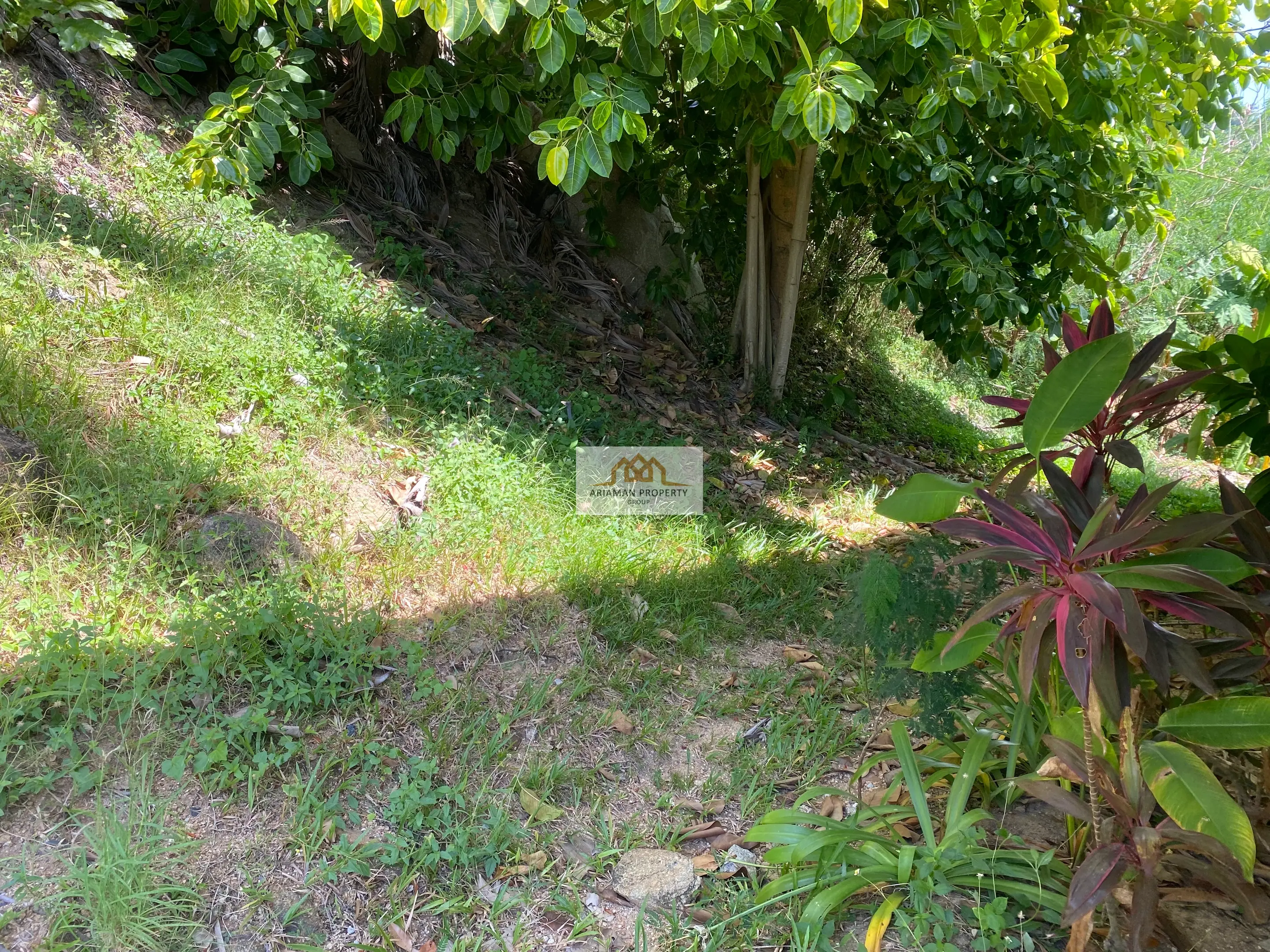Ocean View 4-Bedroom Villa with Infinity Pool and Panoramic Views in Chaweng Noi