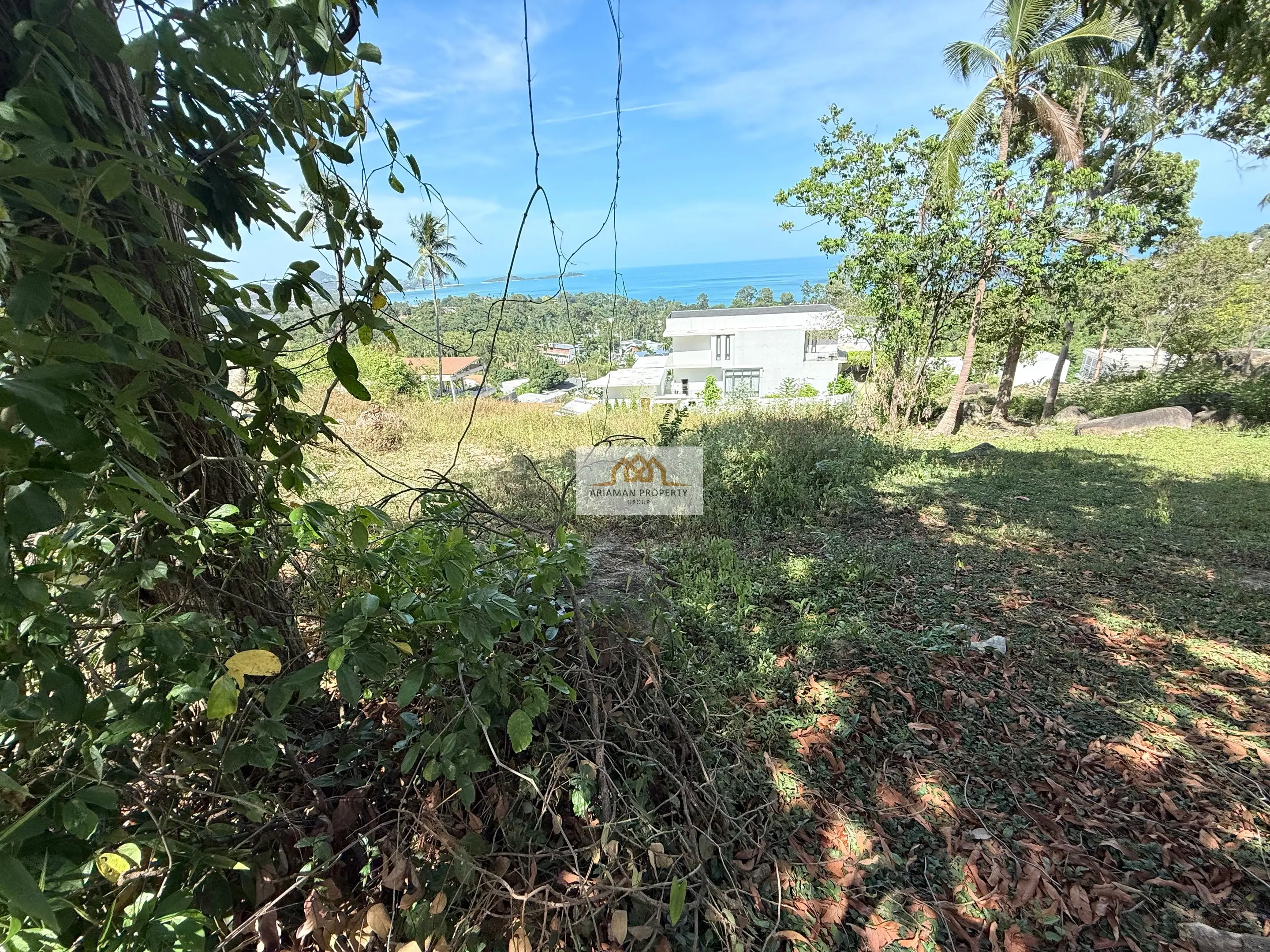 Development Oppertunity: Modern 3-Bedroom Freehold Home with Pool and Garden Views in Bo Phut, Ko Samui