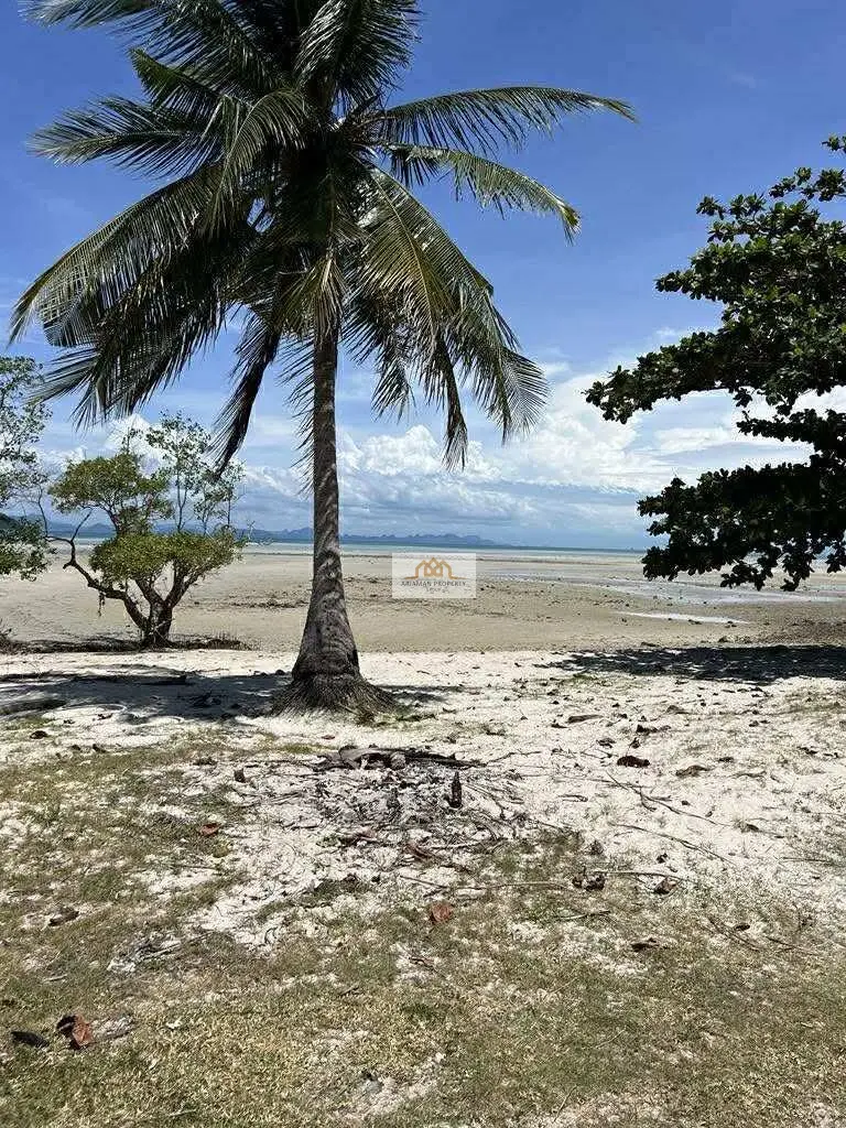 Land in Taling Ngam Near To The Beach with Palm Trees and Scenic Views