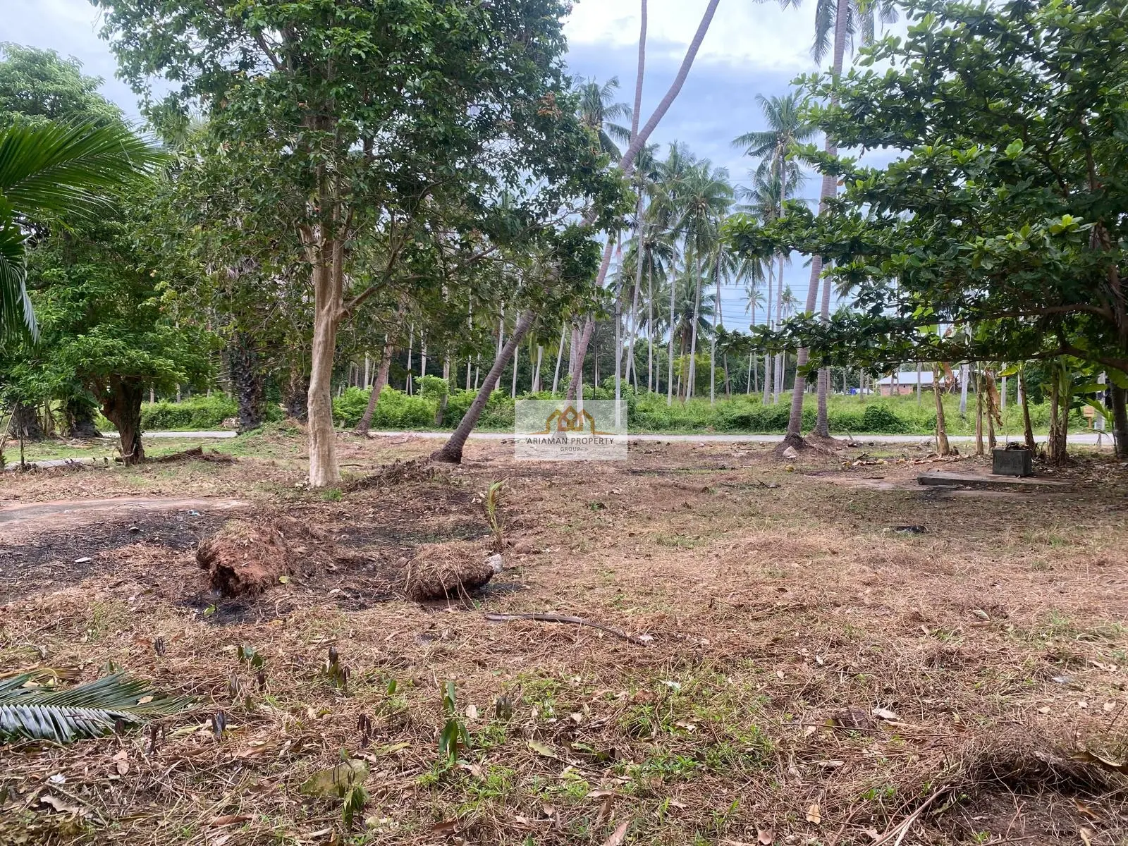 Spacious 1,653 sqm Freehold Land in Tranquil Taling Ngam, Ko Samui