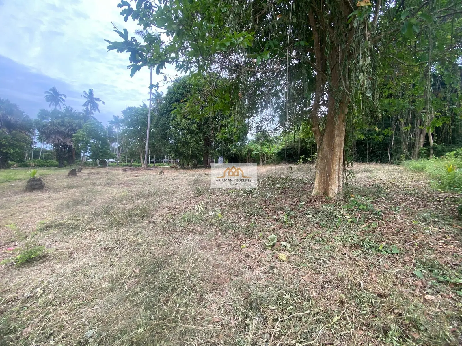 Spacious 1,653 sqm Freehold Land in Tranquil Taling Ngam, Ko Samui