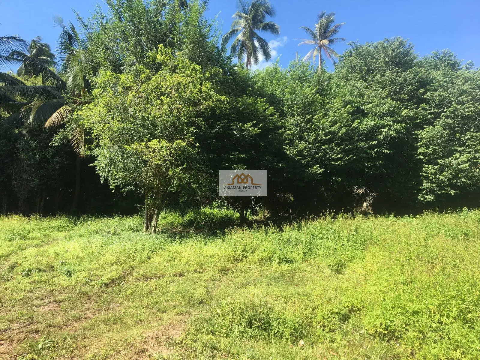 Quiet, Green 1,400 sqm Freehold Land in Maenam, Ko Samui – Ready for Your Project