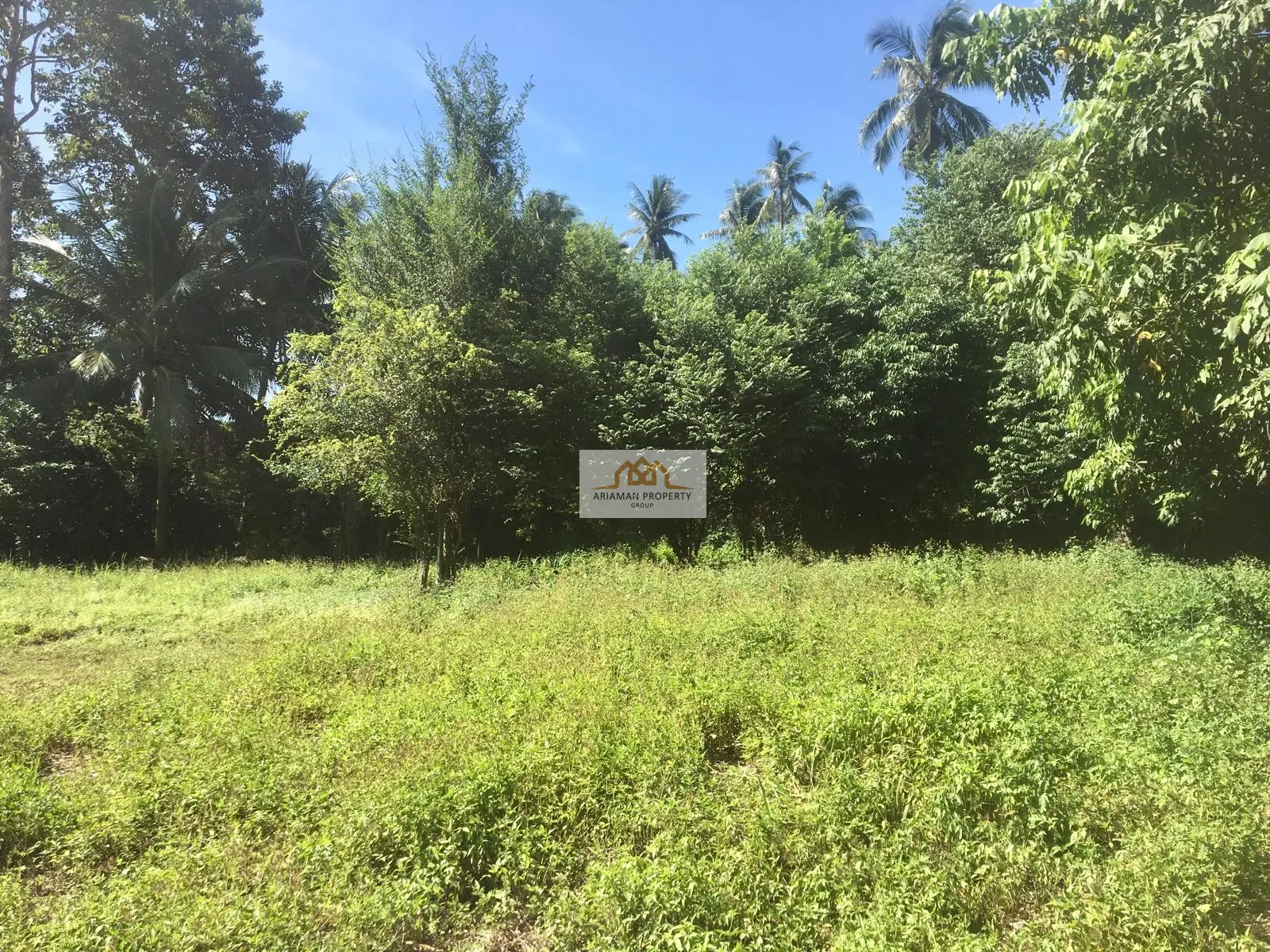 Quiet, Green 1,400 sqm Freehold Land in Maenam, Ko Samui – Ready for Your Project