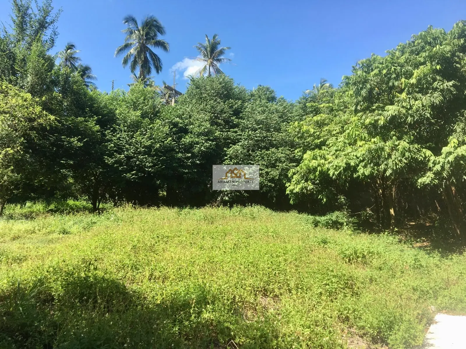 Quiet, Green 1,400 sqm Freehold Land in Maenam, Ko Samui – Ready for Your Project