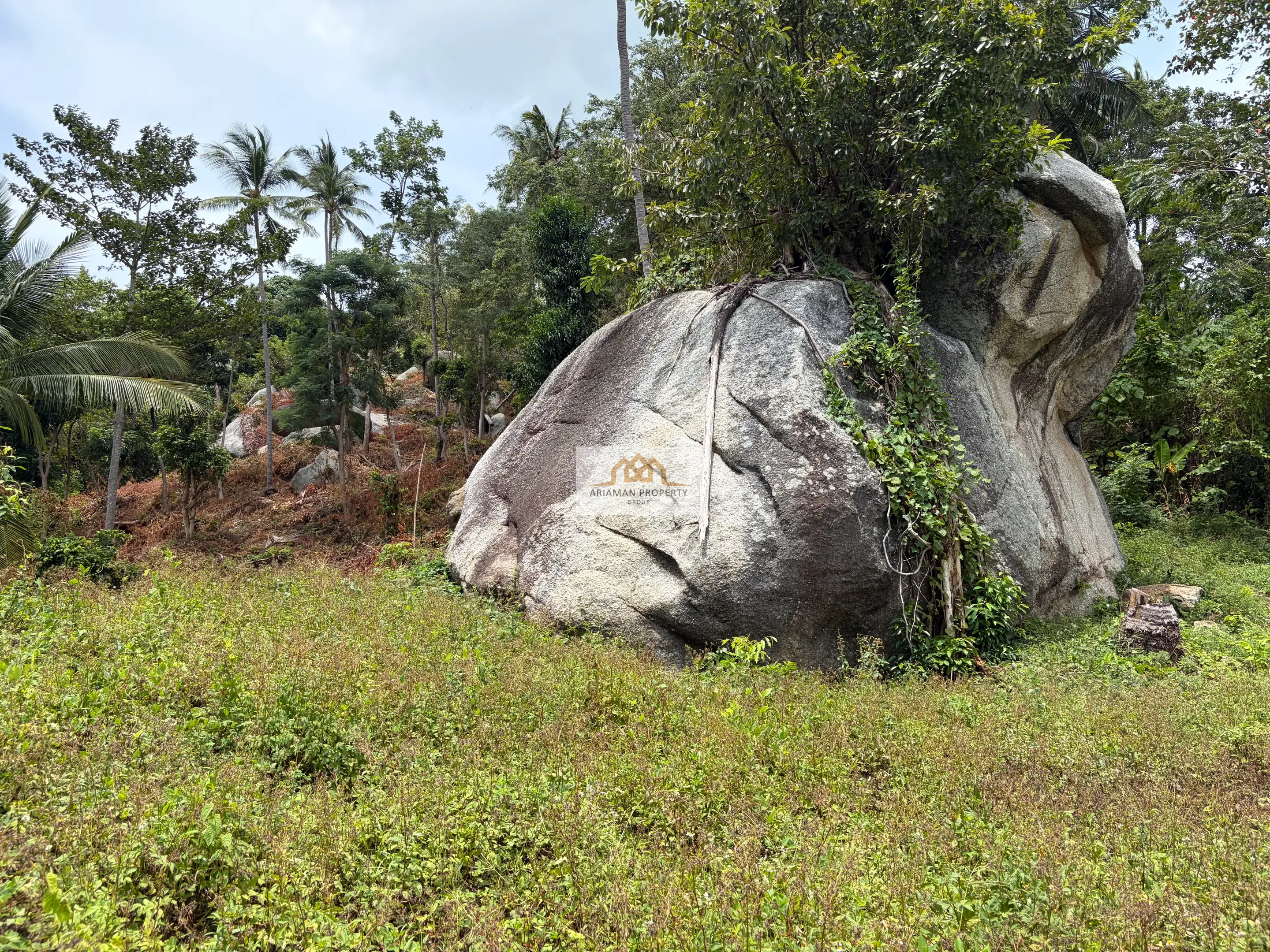Spacious 320 sqm Freehold Land with Lush Greenery and Mountain Views in Maret, Ko Samui