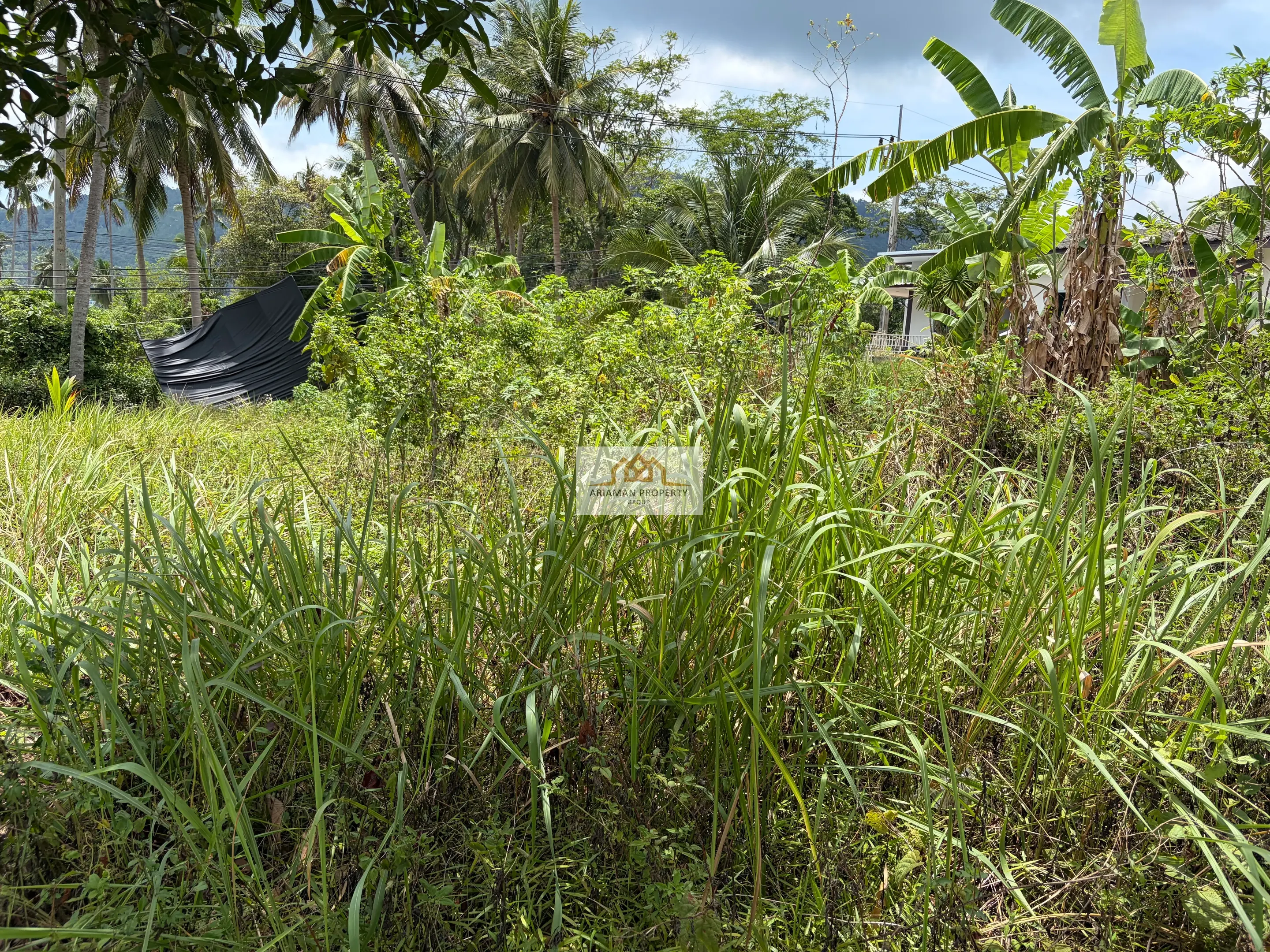 312 sqm Freehold Land in Quiet Lamai Surrounded by Tropical Greenery