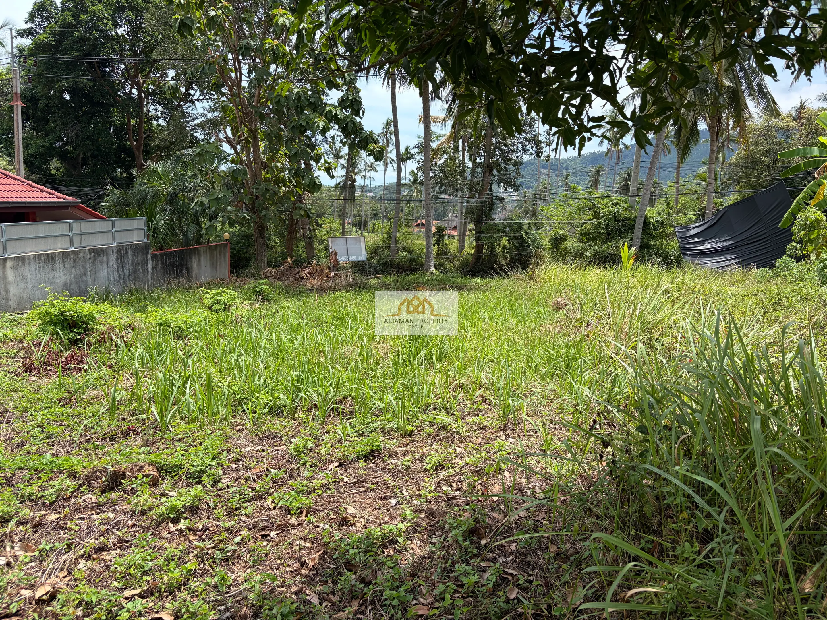 312 sqm Freehold Land in Quiet Lamai Surrounded by Tropical Greenery