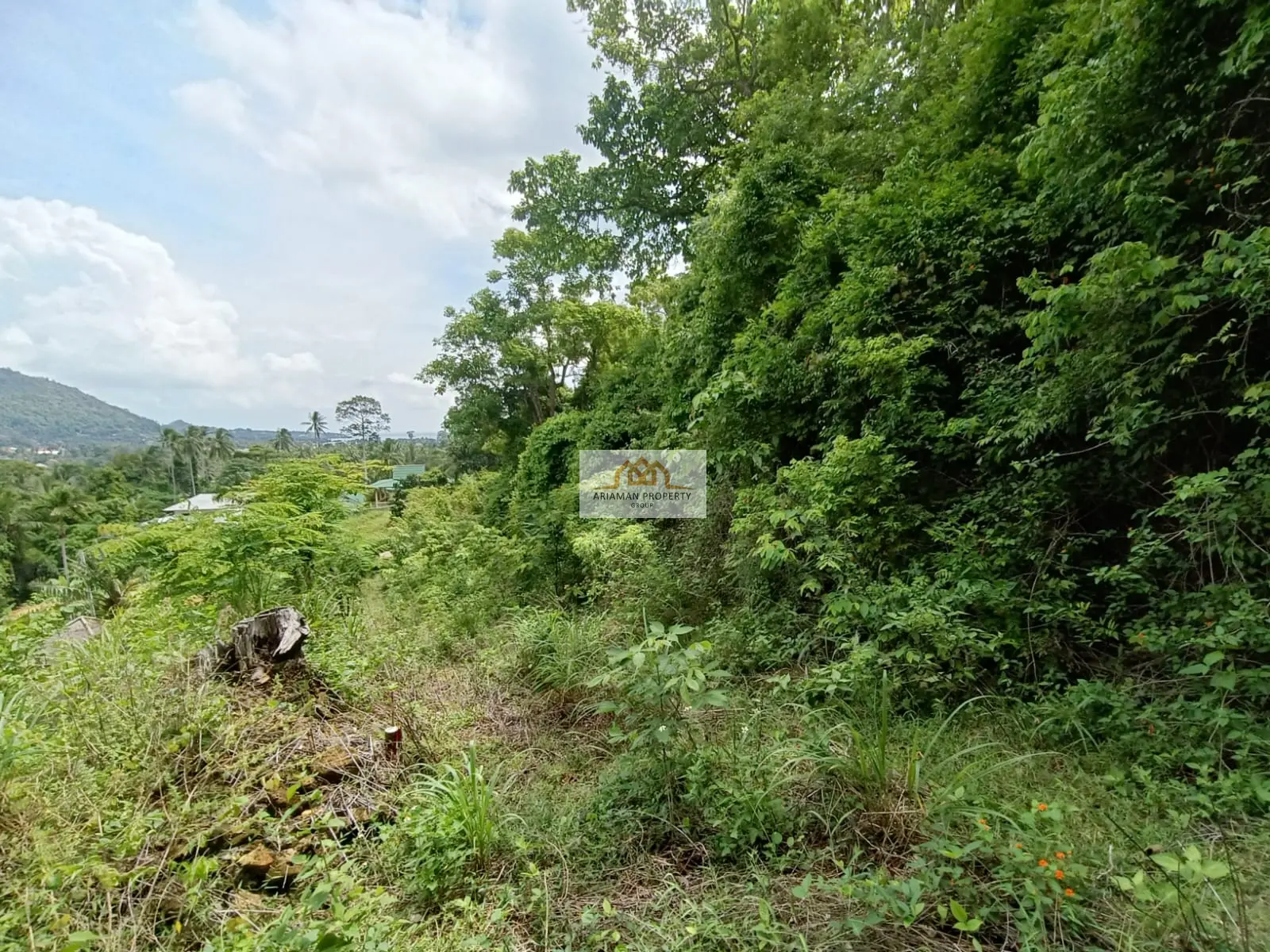 ที่ดินสัญญาเช่า 1 ห้องนอน บนที่ดินสูงสงบพร้อมวิวธรรมชาติฟื้นฟูใจในสมุย มาเร็ต