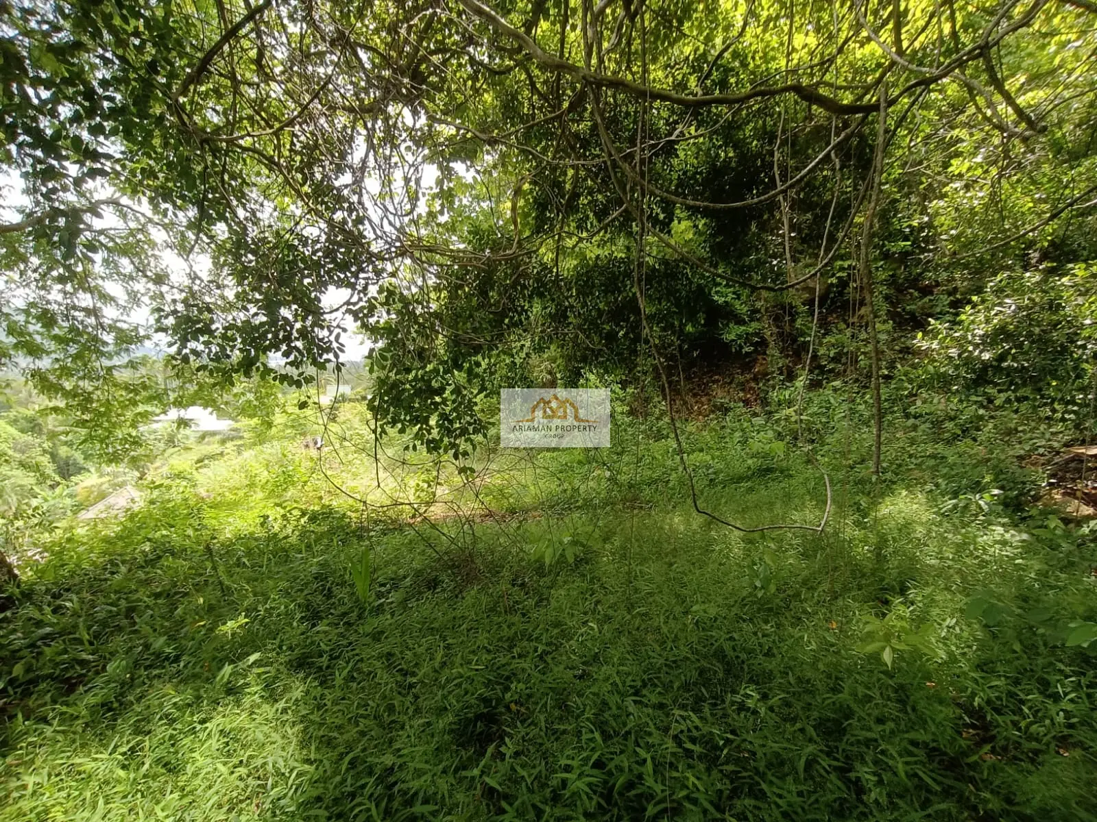 ที่ดินสัญญาเช่า 1 ห้องนอน บนที่ดินสูงสงบพร้อมวิวธรรมชาติฟื้นฟูใจในสมุย มาเร็ต