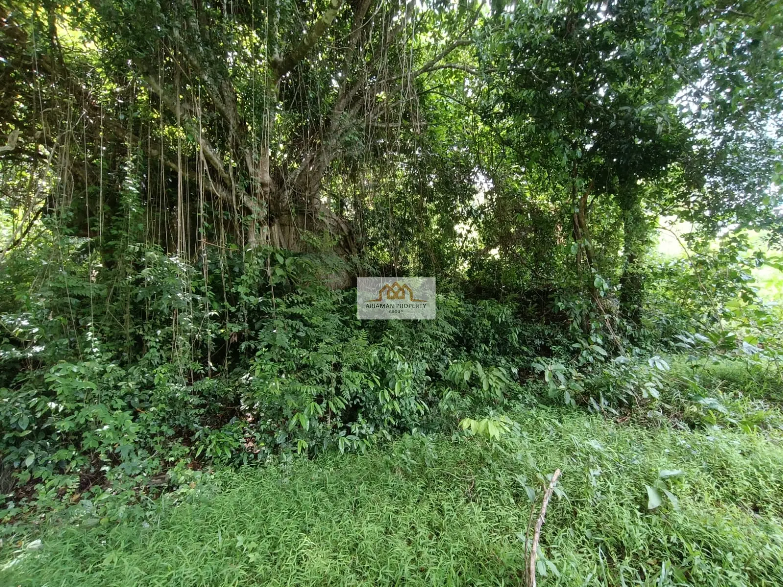 ที่ดินสัญญาเช่า 1 ห้องนอน บนที่ดินสูงสงบพร้อมวิวธรรมชาติฟื้นฟูใจในสมุย มาเร็ต