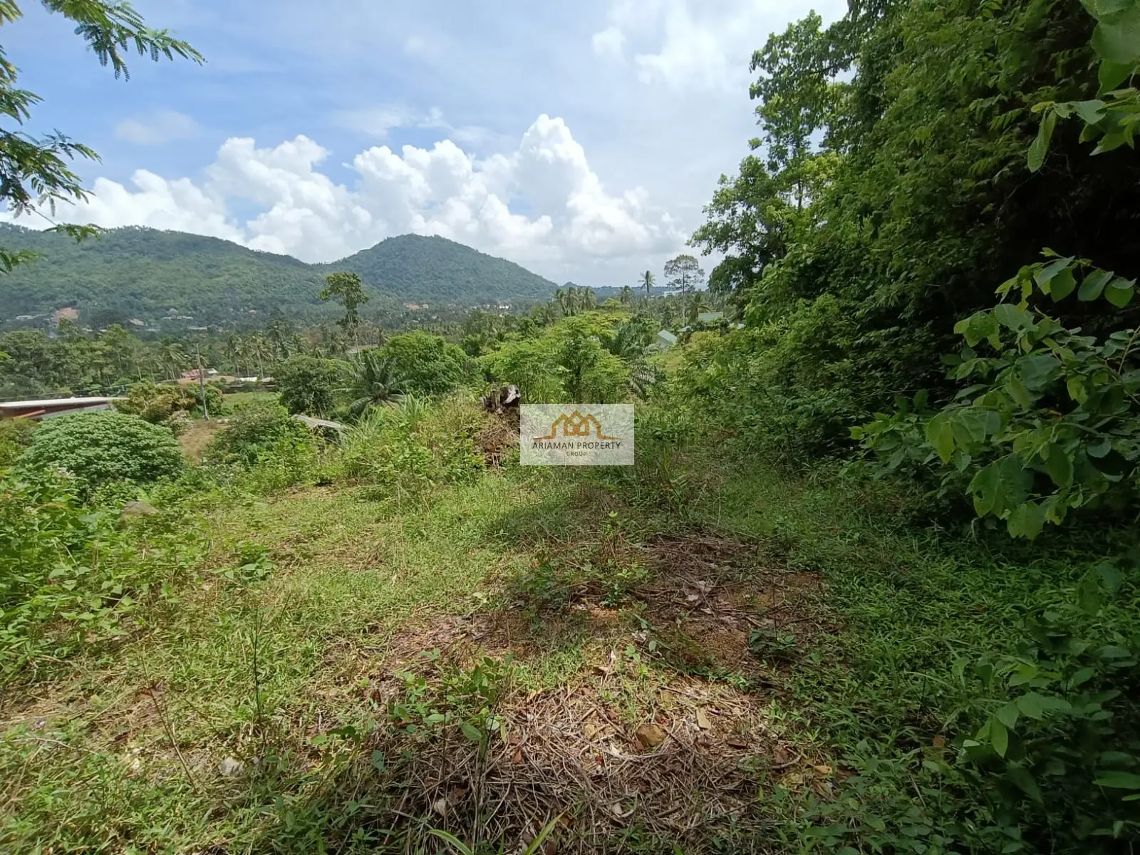 ที่ดินสัญญาเช่า 1 ห้องนอน บนที่ดินสูงสงบพร้อมวิวธรรมชาติฟื้นฟูใจในสมุย มาเร็ต