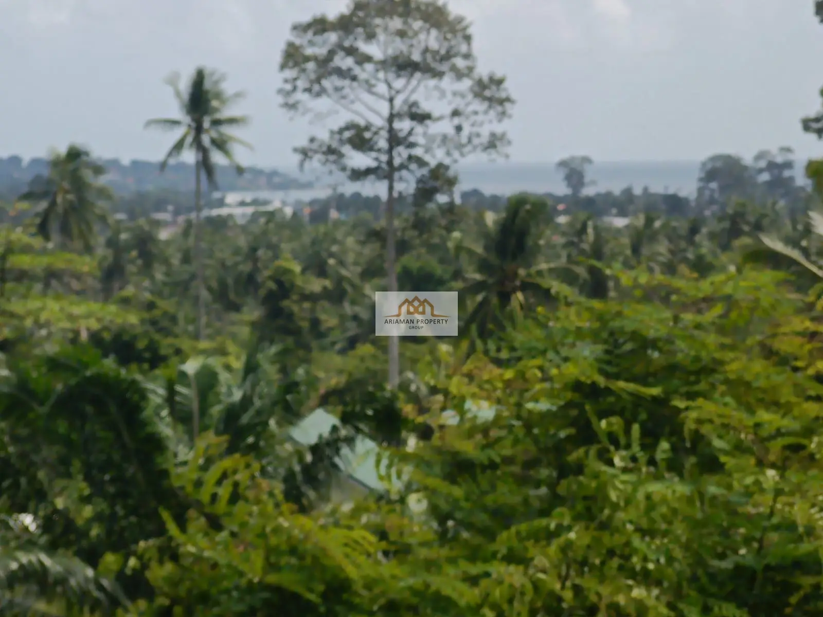 ที่ดินสัญญาเช่า 1 ห้องนอน บนที่ดินสูงสงบพร้อมวิวธรรมชาติฟื้นฟูใจในสมุย มาเร็ต