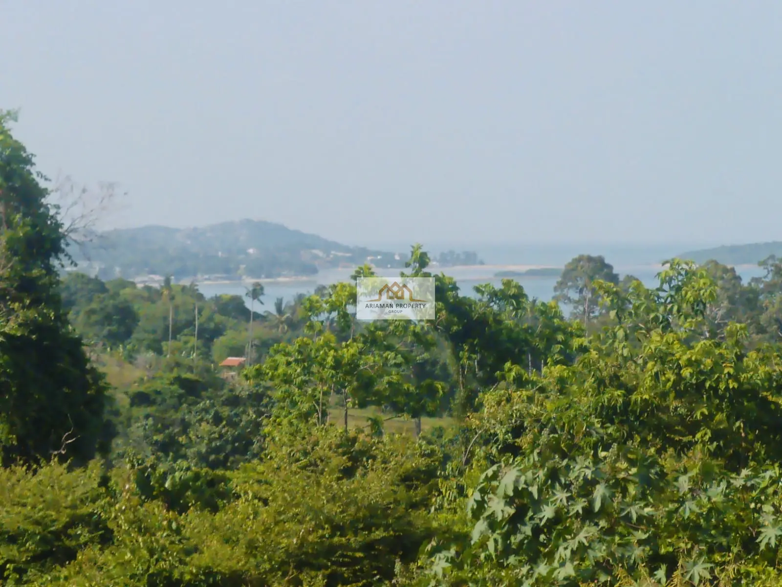 8 Rai Freehold Land in Chaweng Noi — Quiet, Green, and Full of Potential