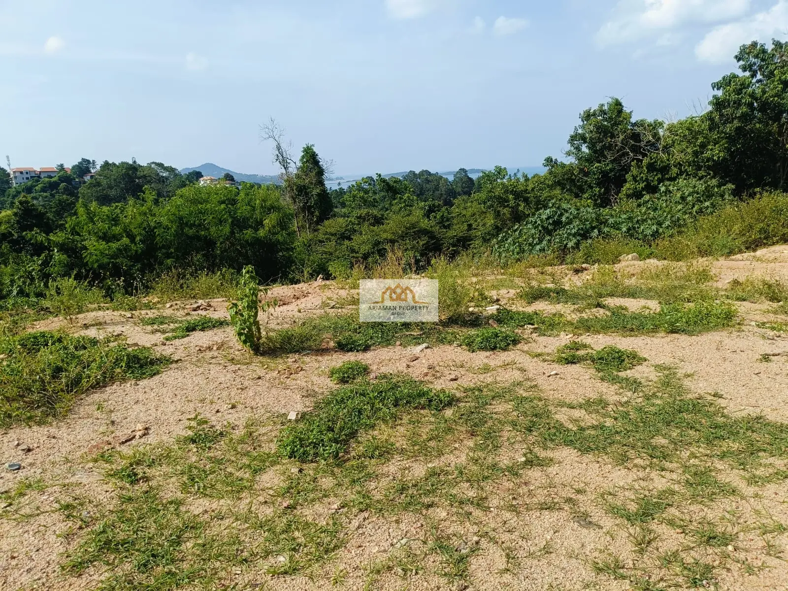 8 Rai Freehold Land in Chaweng Noi — Quiet, Green, and Full of Potential