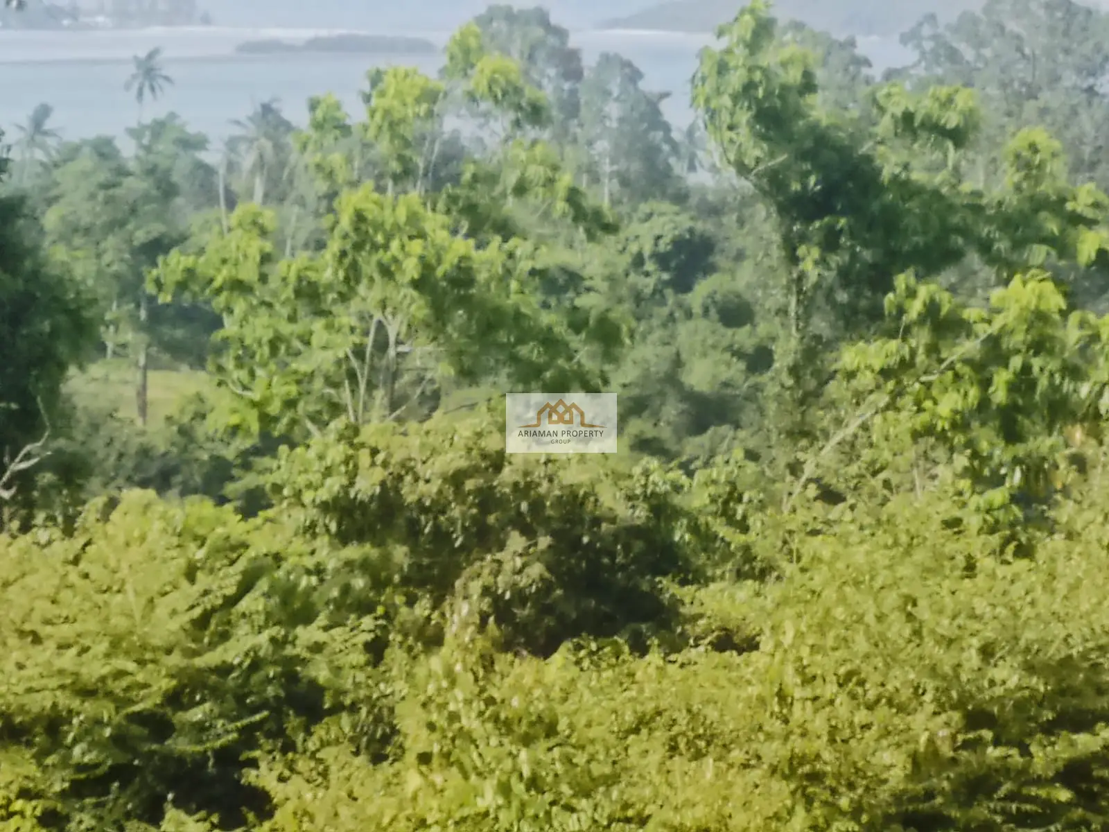 8 Rai Freehold Land in Chaweng Noi — Quiet, Green, and Full of Potential