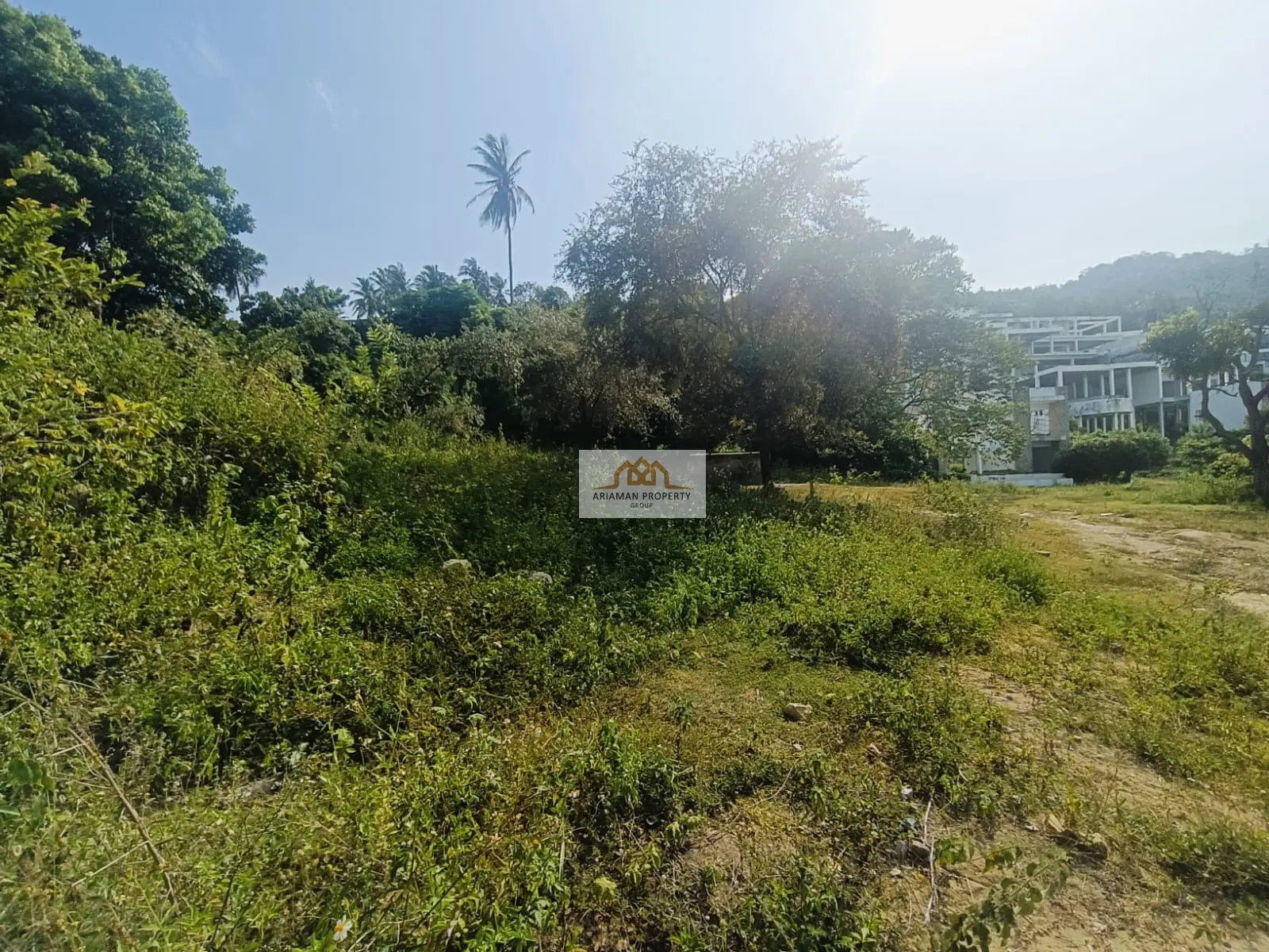 8 Rai Freehold Land in Chaweng Noi — Quiet, Green, and Full of Potential