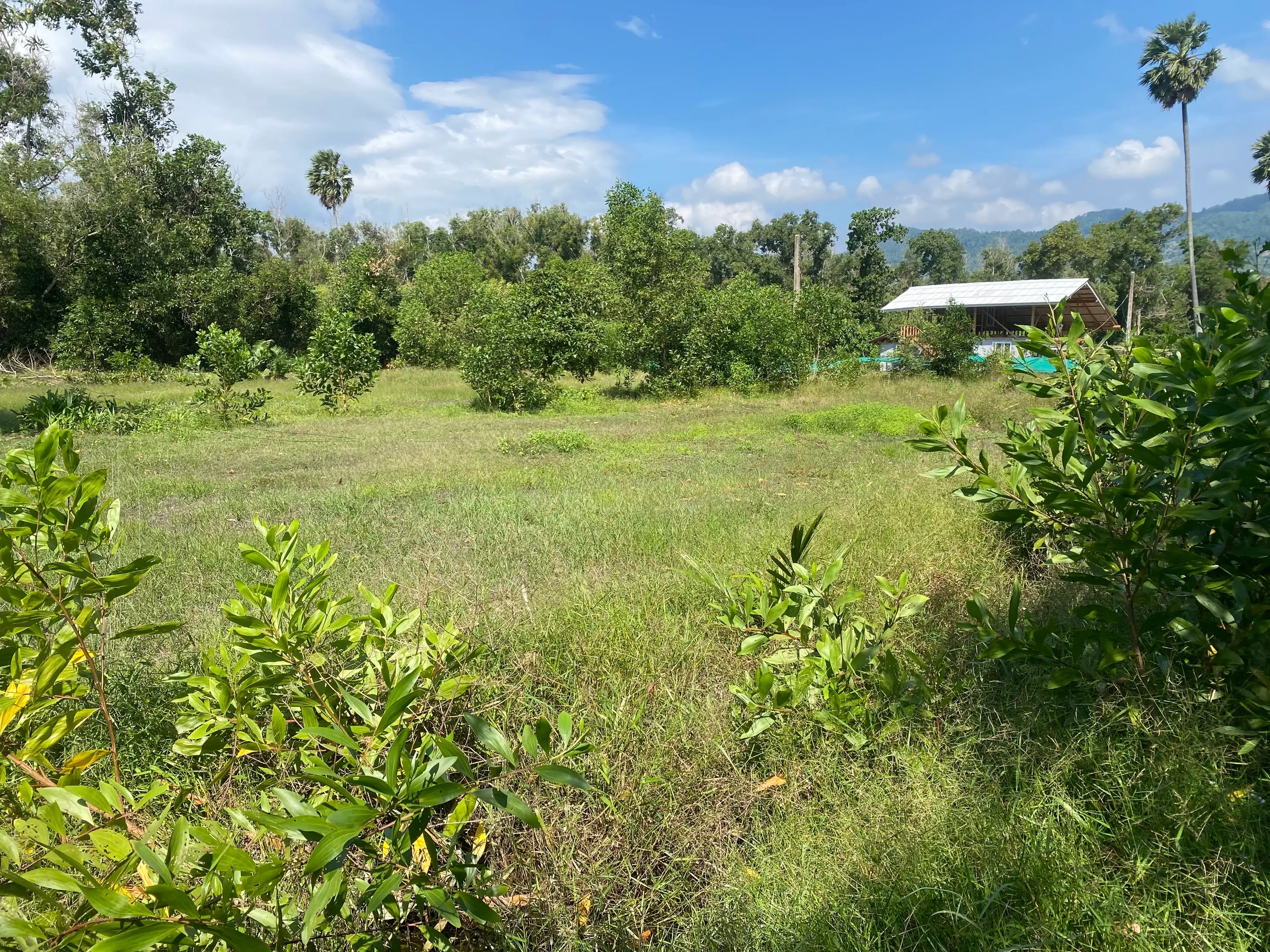 800 ตร.ม. ของที่ดินในห้วยธนอน