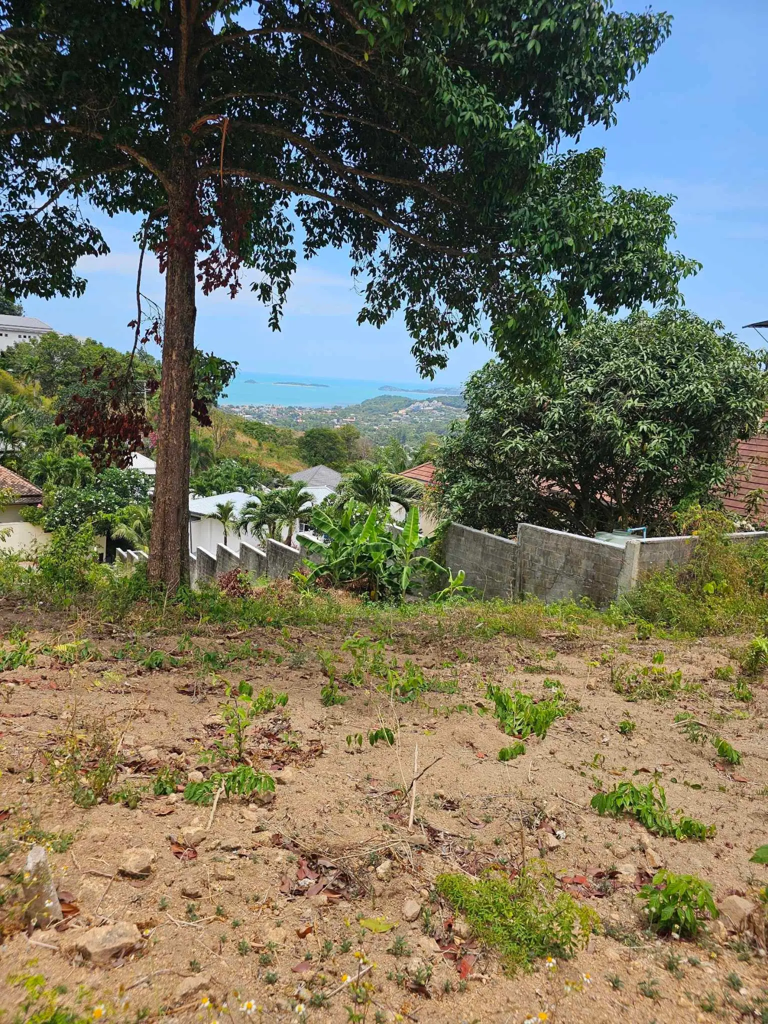 2232 SQM Of Prime Land In Bophut Hill