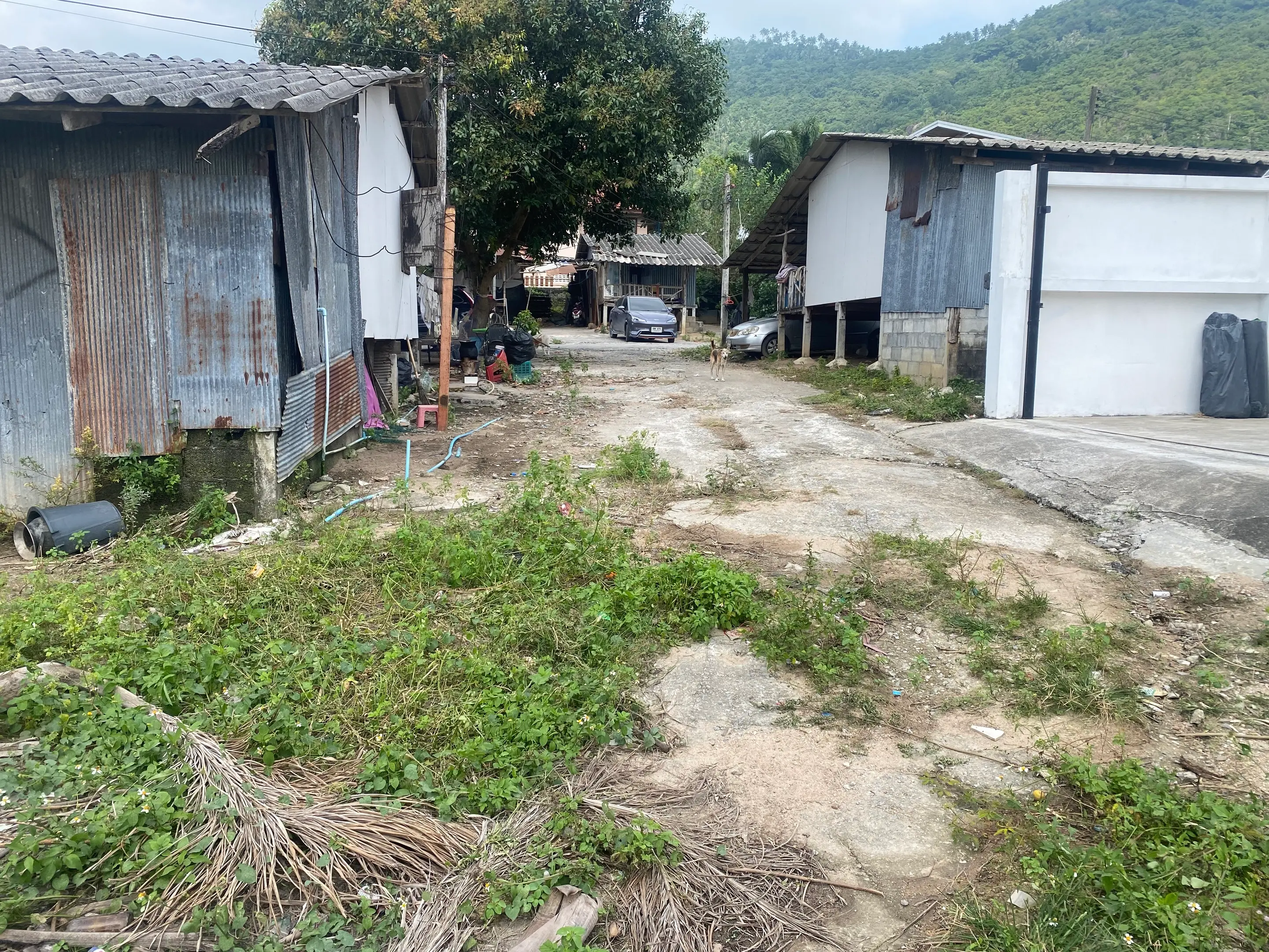 2088 SQM Of Development Land In Lamai