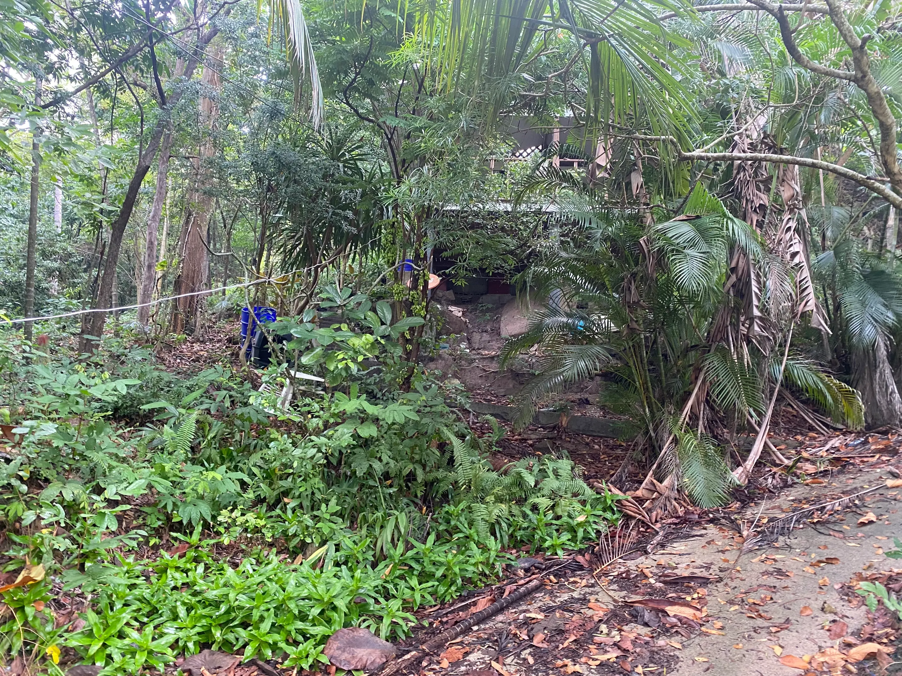 800sqm Of Stunning Jungle View Land In Lamai