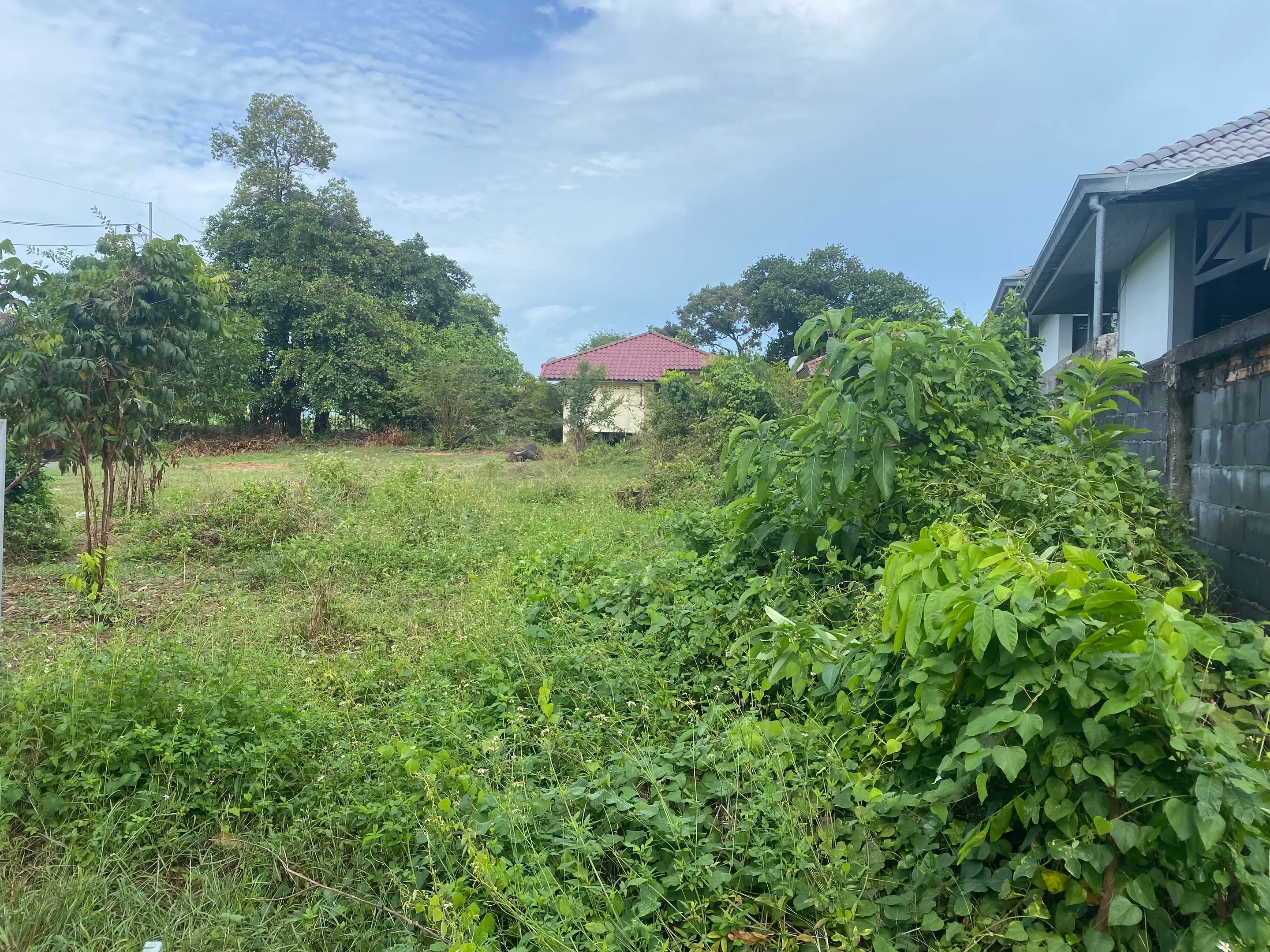 196 SQM Of Land In Lamai