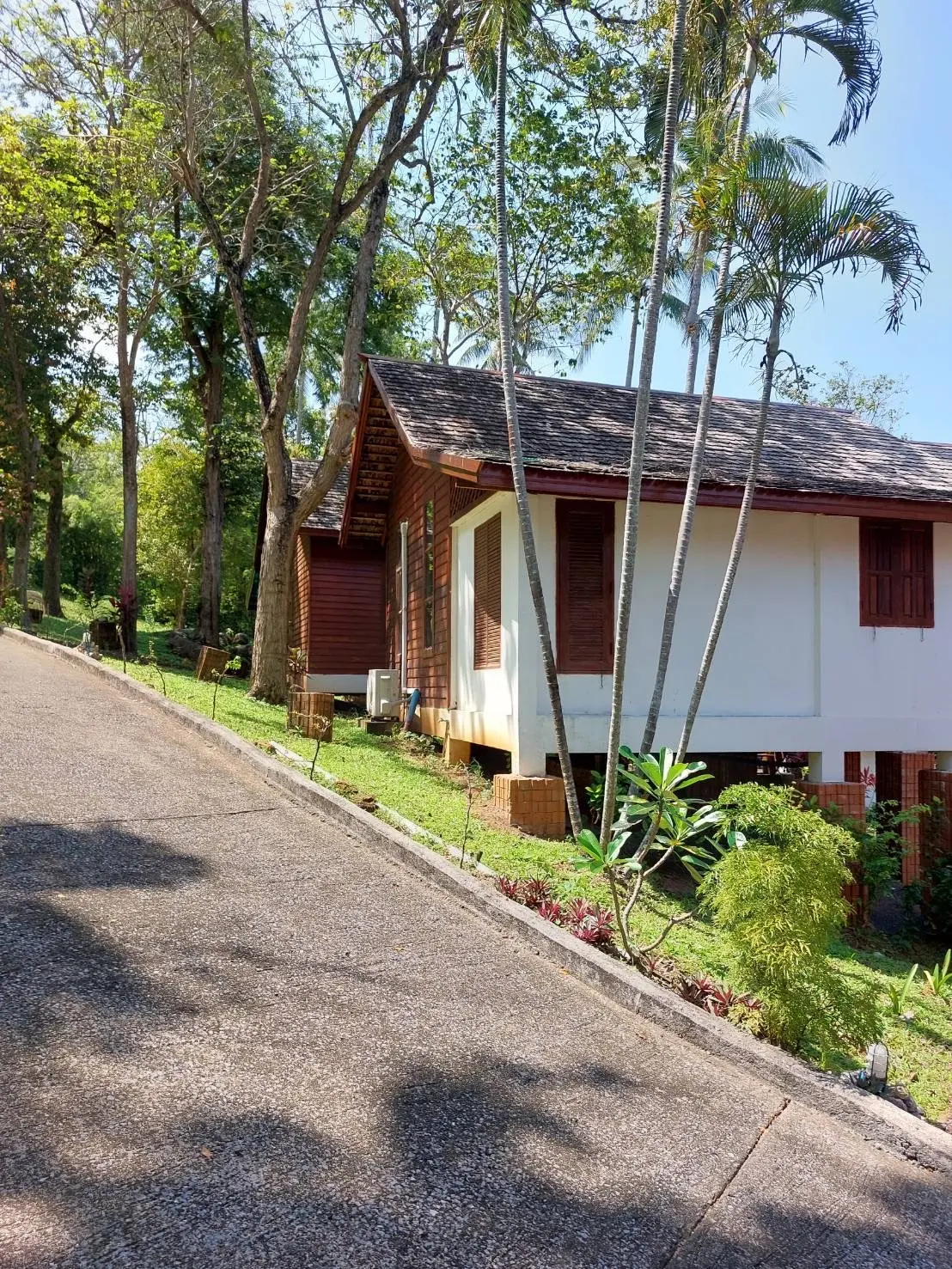 25 Bungalow Resort In The Heart Of Lamai