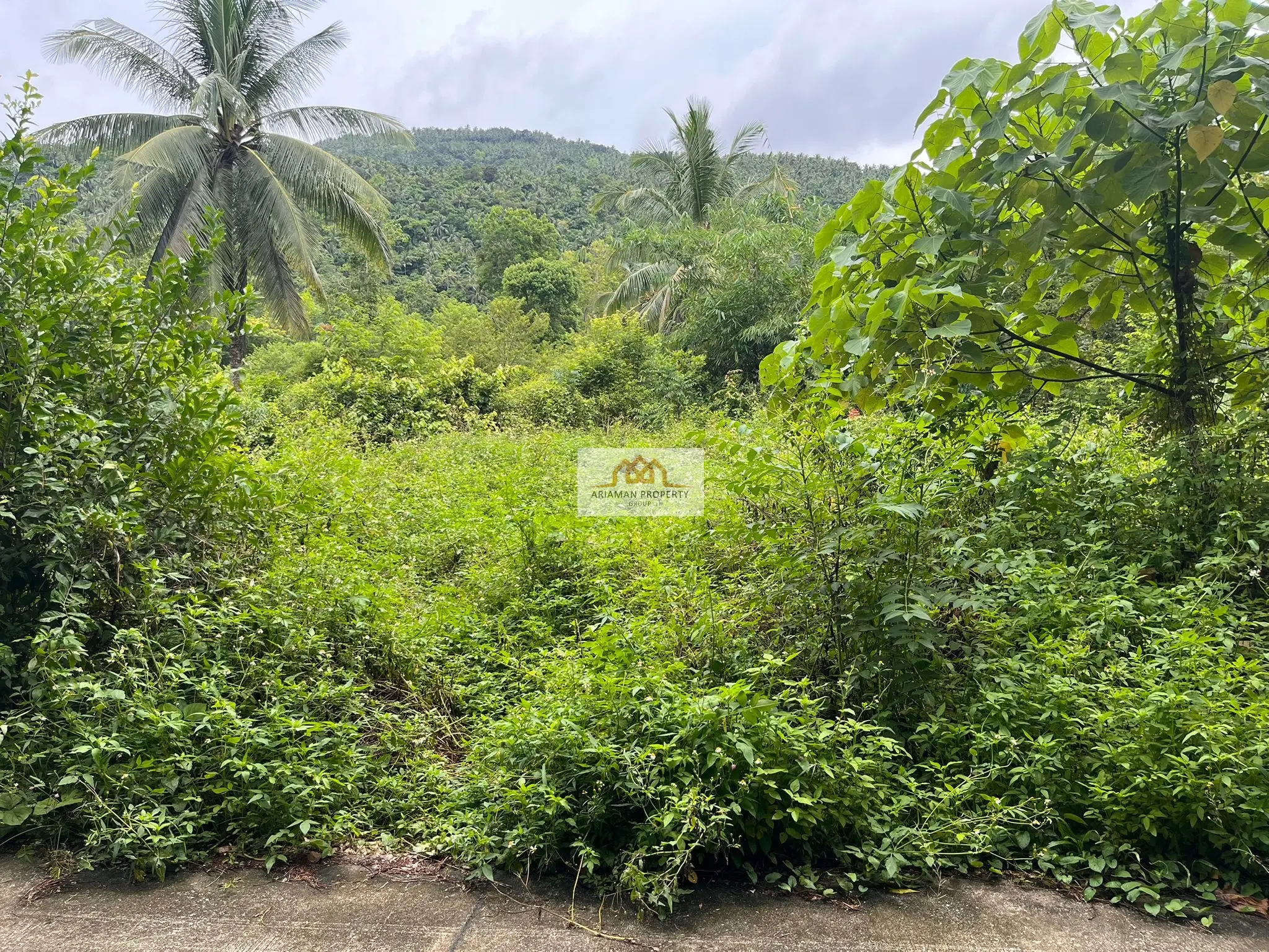 5 Rai Of Freehold Land with Great Road Access in Quiet Taling Ngam 