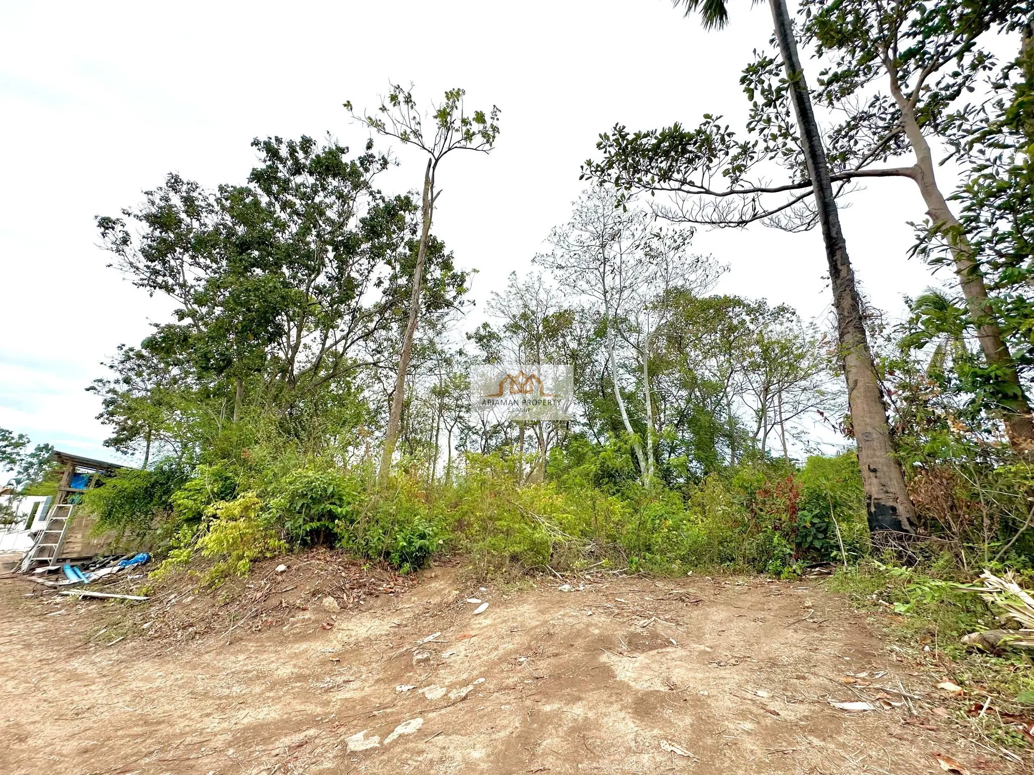 Spacious 1,600 sqm Freehold Land Plot with Mature Trees in Ang Thong, Ko Samui