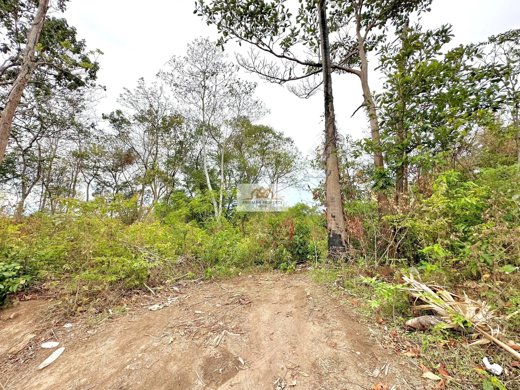 Spacious 1,600 sqm Freehold Land Plot with Mature Trees in Ang Thong, Ko Samui