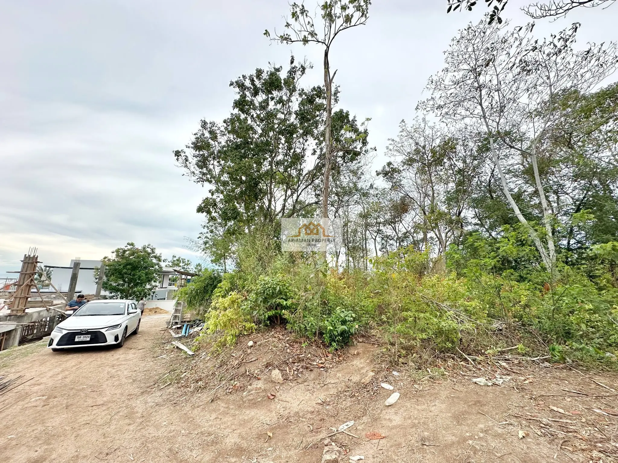 Spacious 1,600 sqm Freehold Land Plot with Mature Trees in Ang Thong, Ko Samui