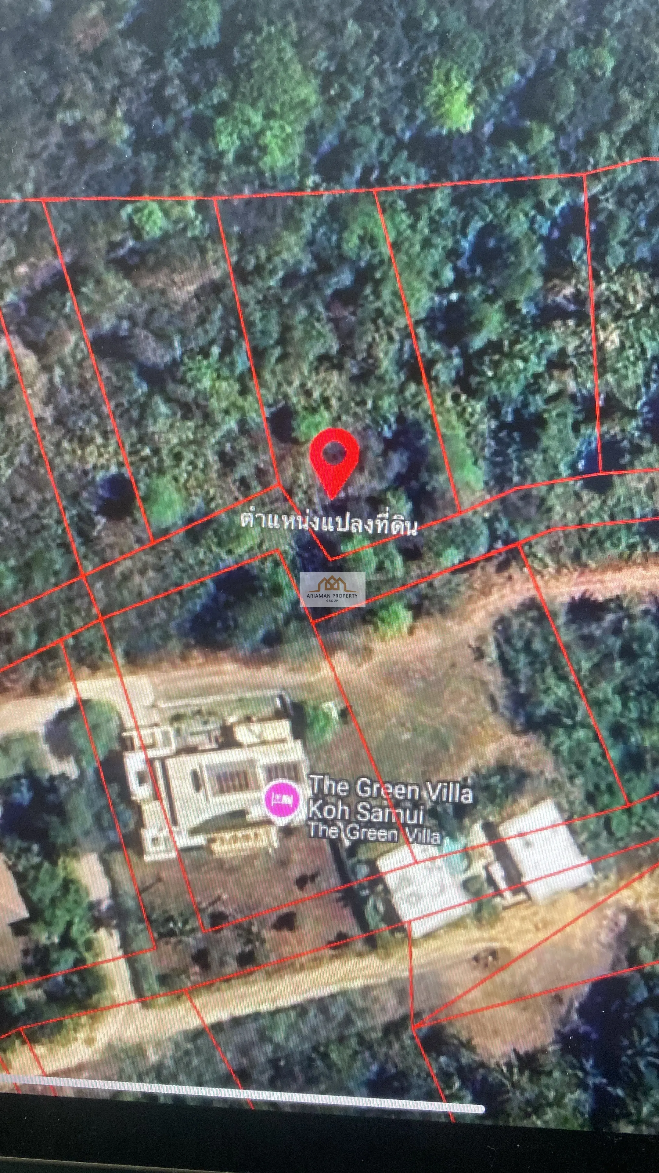 Spacious 1,600 sqm Freehold Land Plot with Mature Trees in Ang Thong, Ko Samui