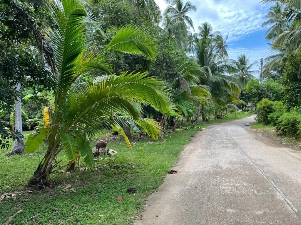 
    Tropical Freehold Land for Sale in Hua Thanon, Ko Samui
  