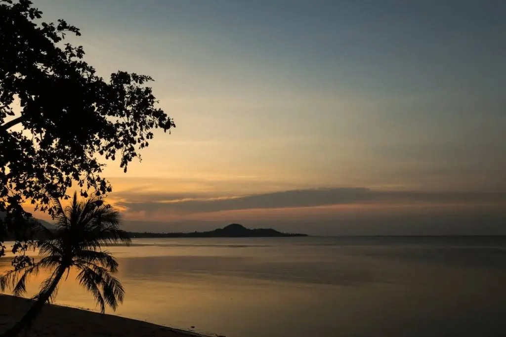 ตั้งราคาเพื่อขาย! วิลล่าสมัยใหม่ติดทะเลบนชายหาดบ่อผุด