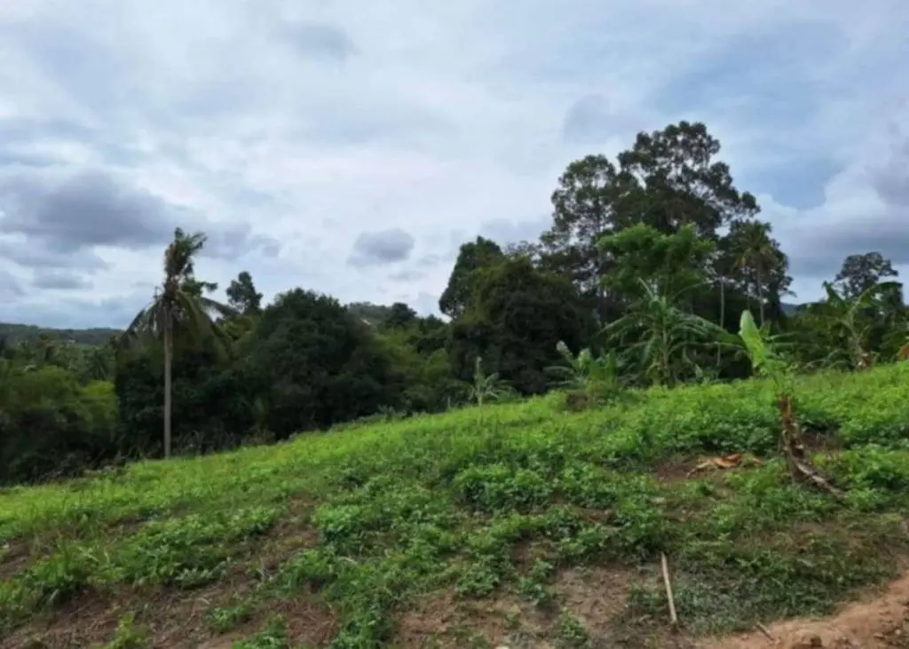 
    3 Rai of Premium Freehold Land for Sale in Maenam Soi 2
  