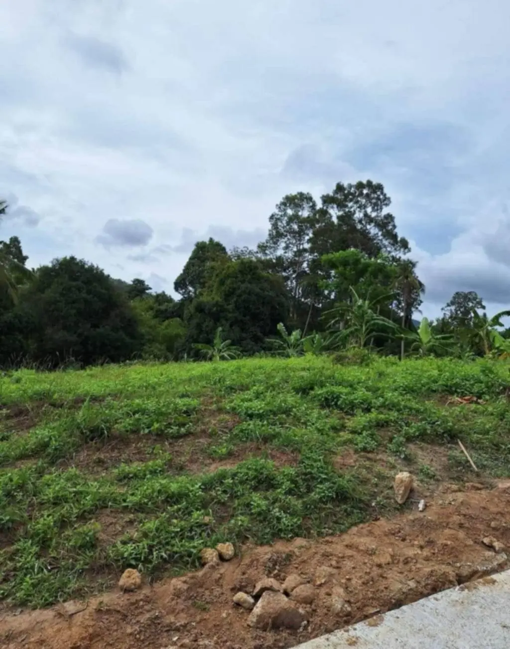 
    3 Rai of Premium Freehold Land for Sale in Maenam Soi 2
  