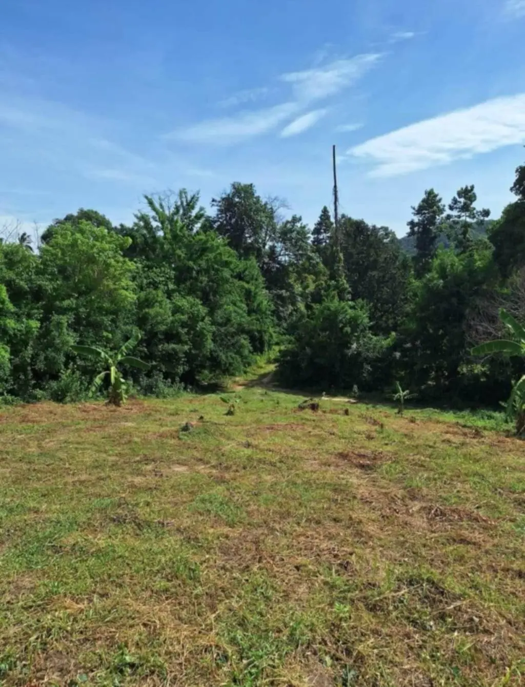 
    282sqm Affordable Freehold Land for Sale in Choengmon
  