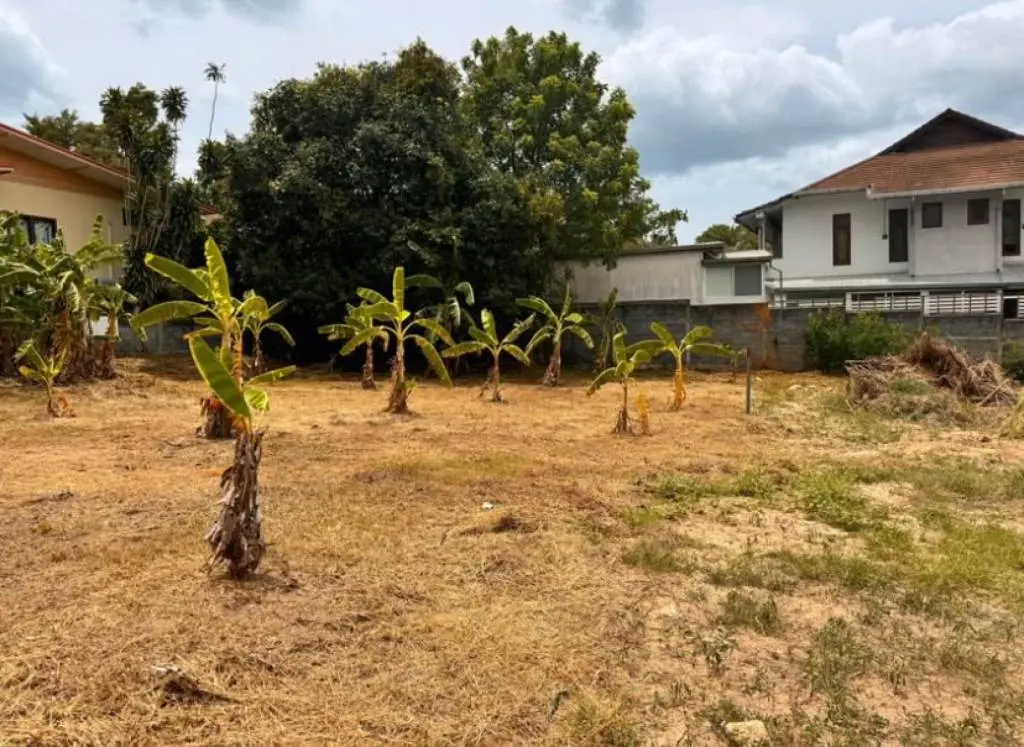 
    282sqm Affordable Freehold Land for Sale in Choengmon
  