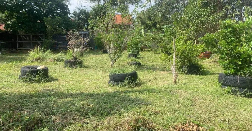 
    228sqm Land in bangrak
  