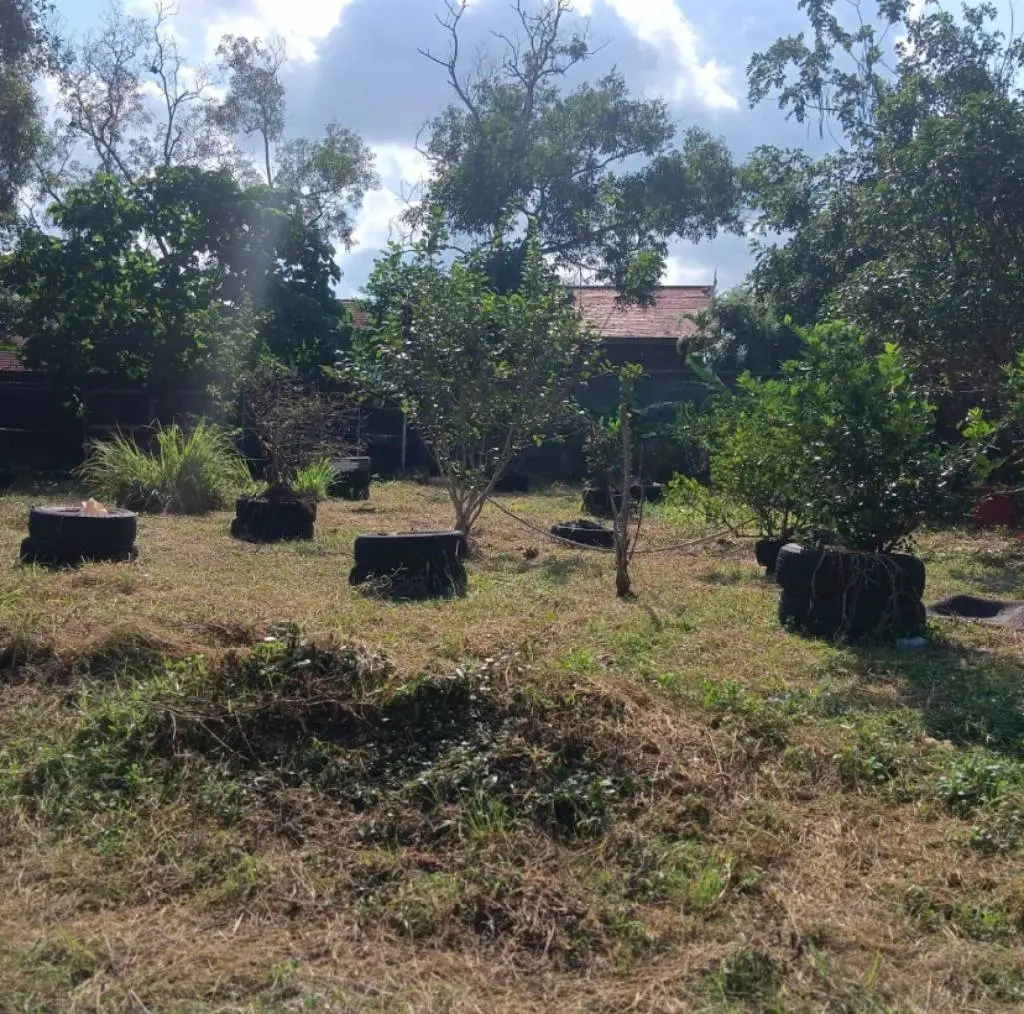 
    228sqm Land in bangrak
  